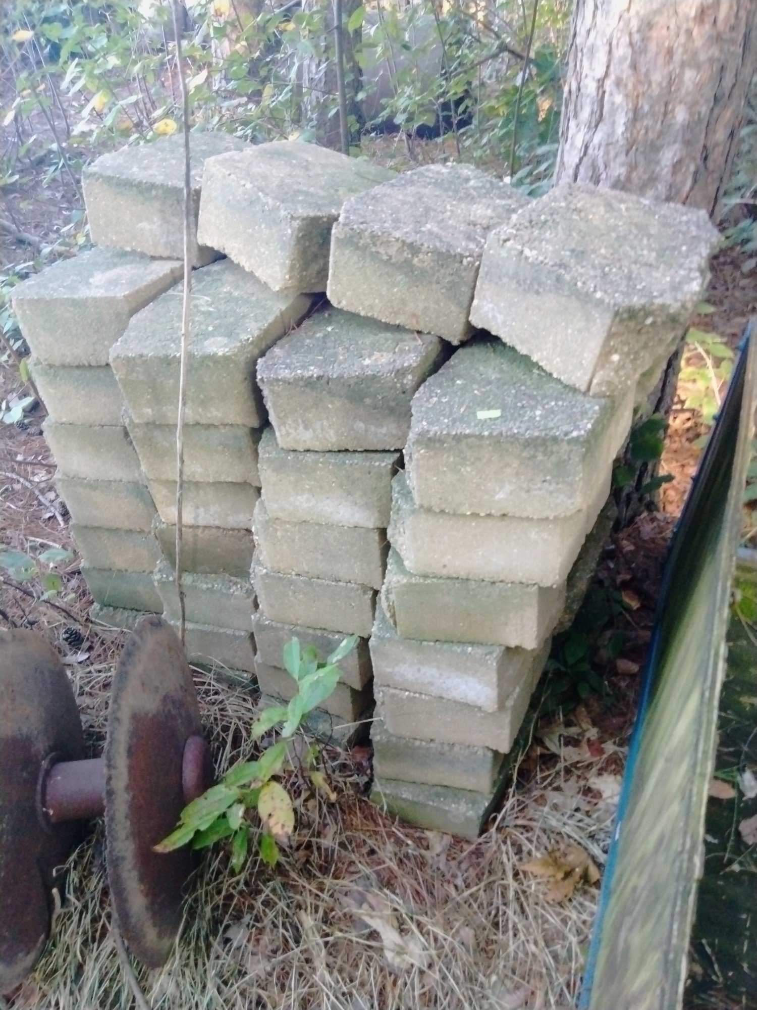 Online Bidding Only!