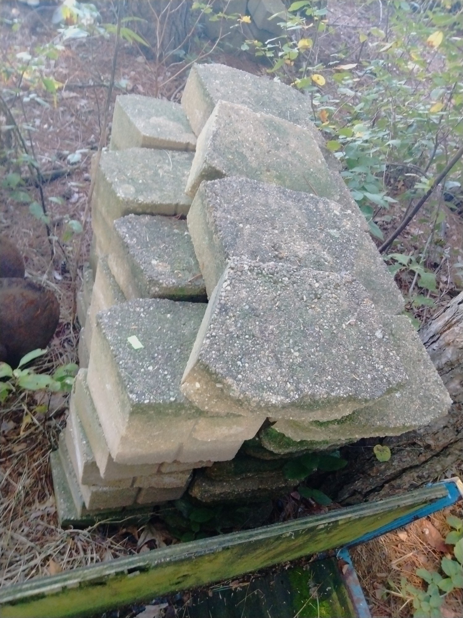 Online Bidding Only!