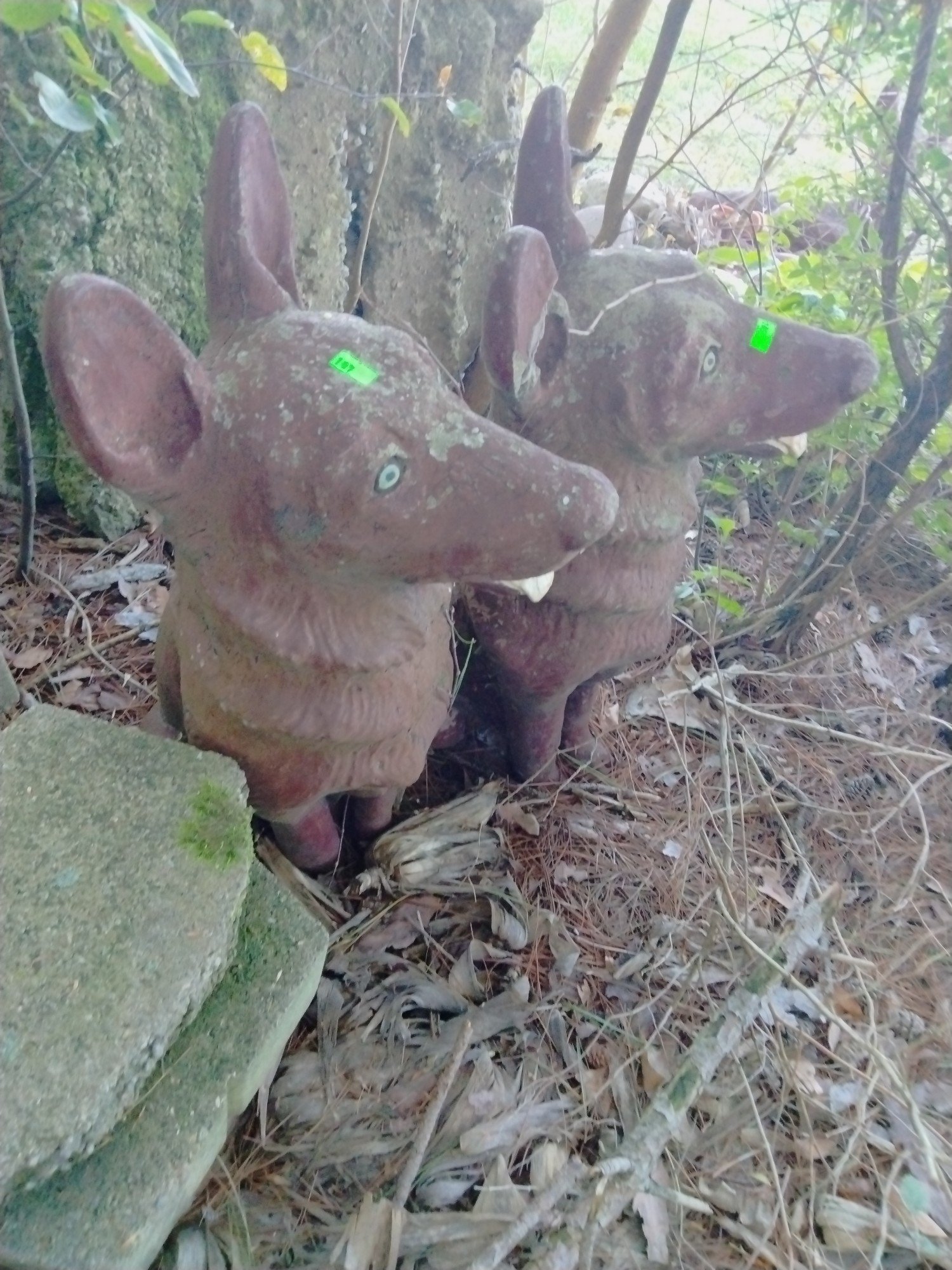 Online Bidding Only!