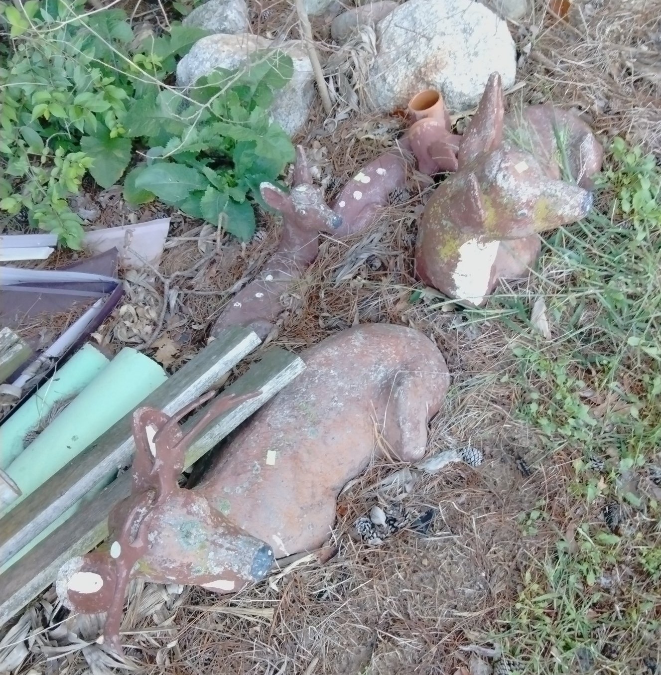 Online Bidding Only!