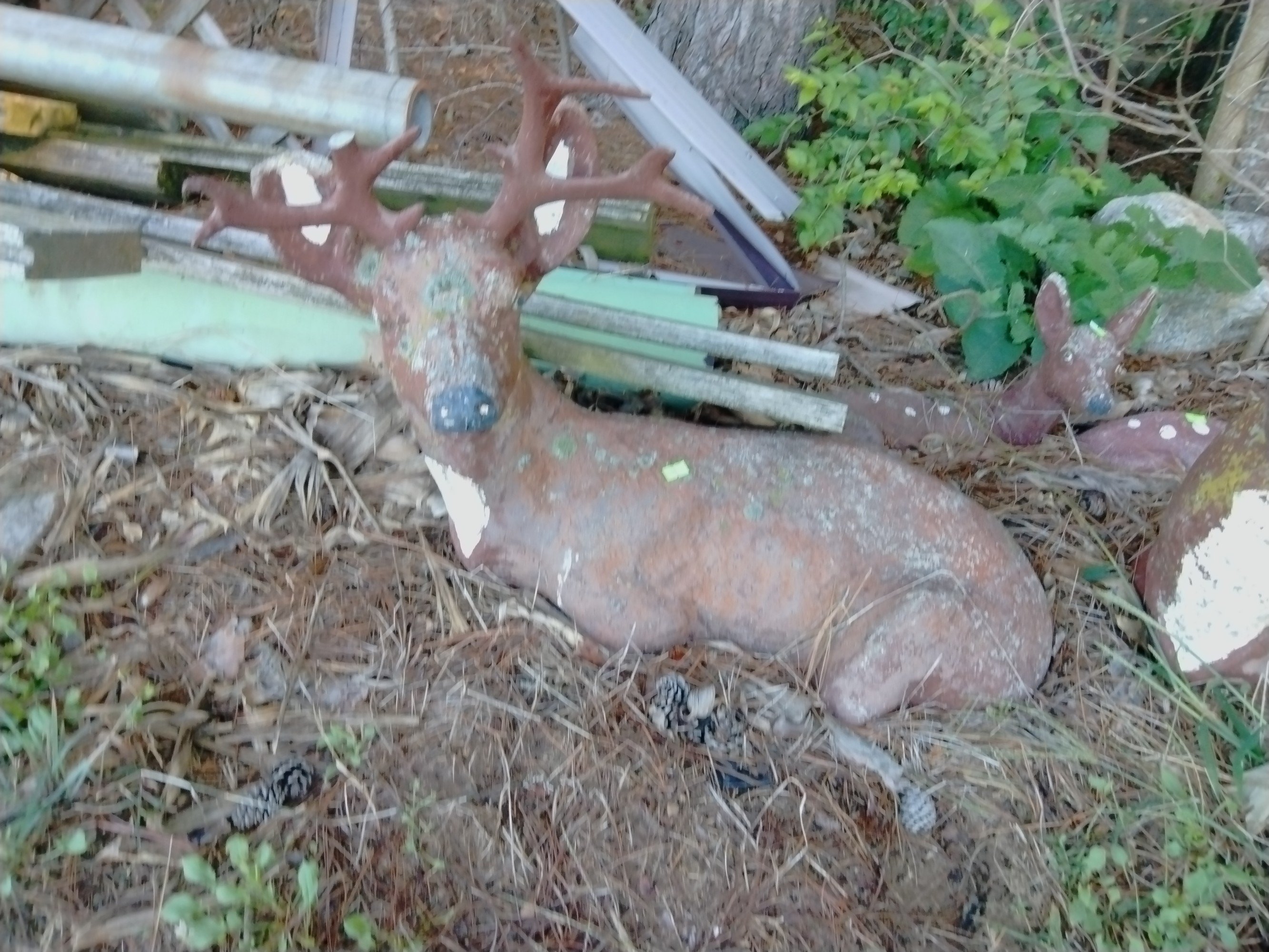 Online Bidding Only!