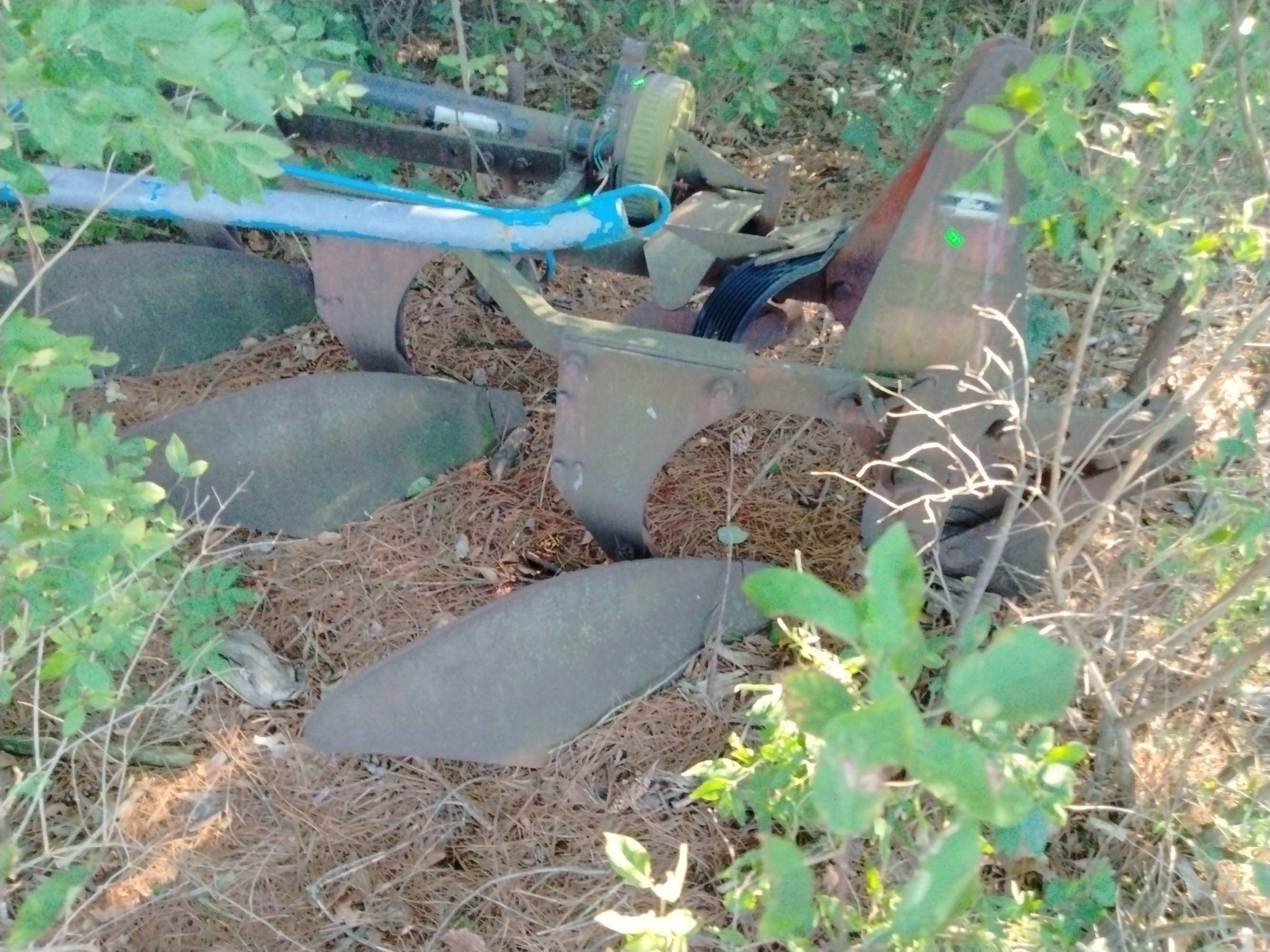 Online Bidding Only!