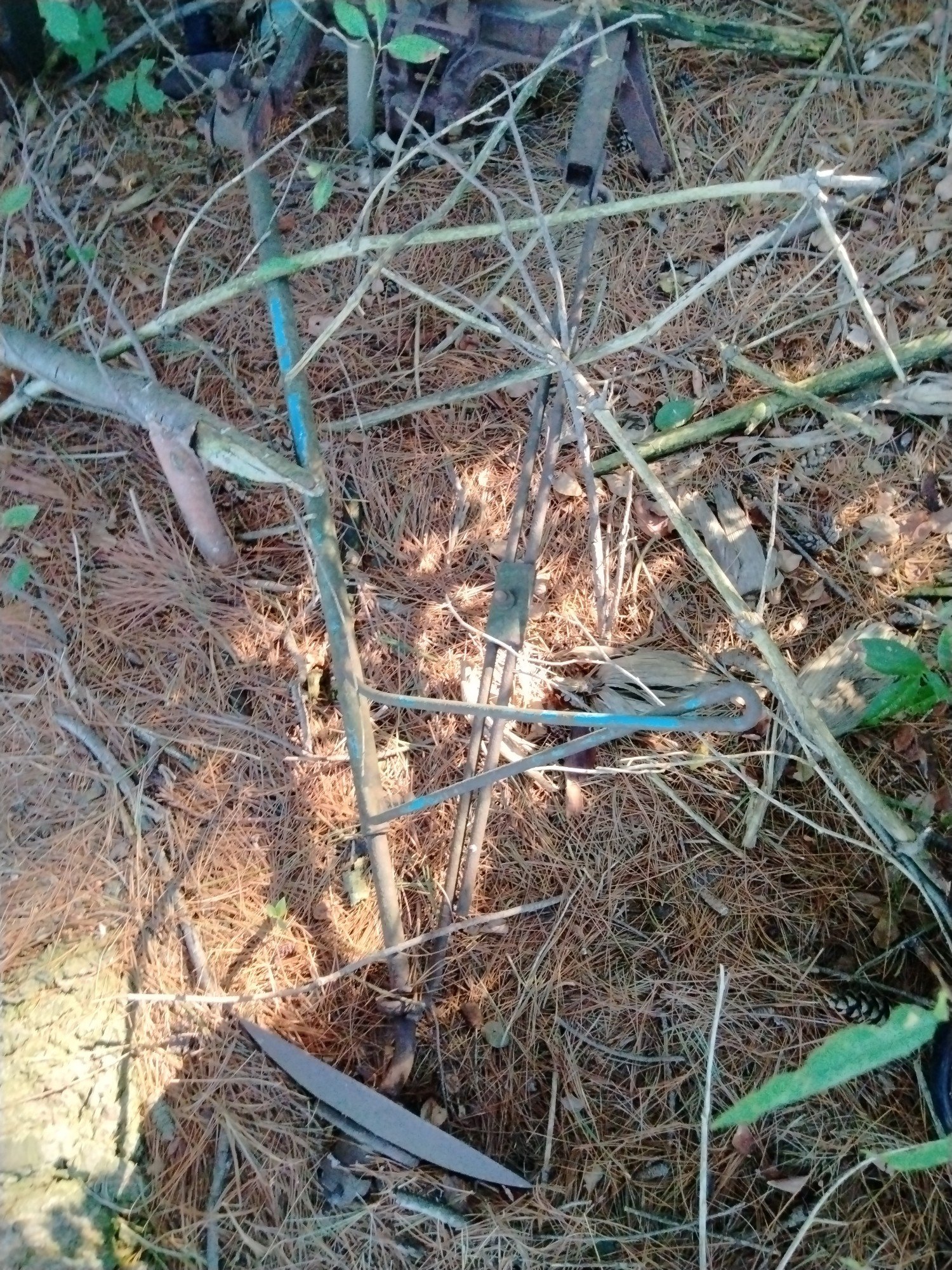 Online Bidding Only!