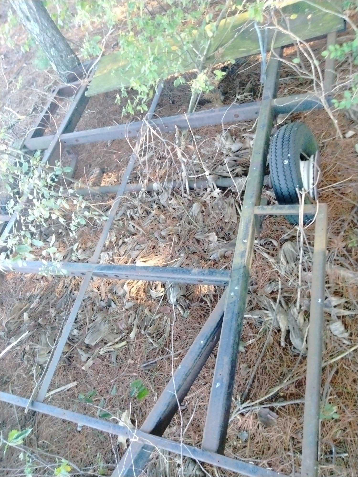 Online Bidding Only!