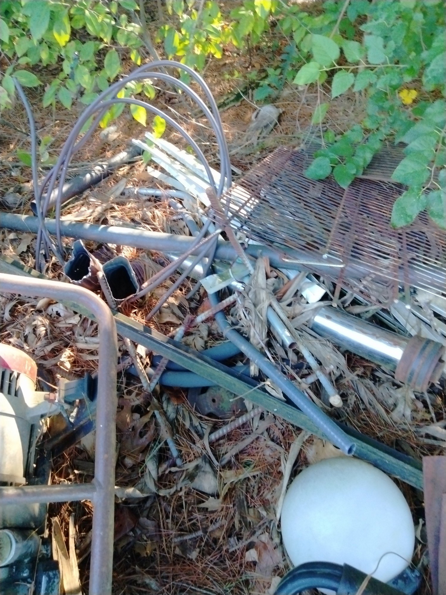 Online Bidding Only!