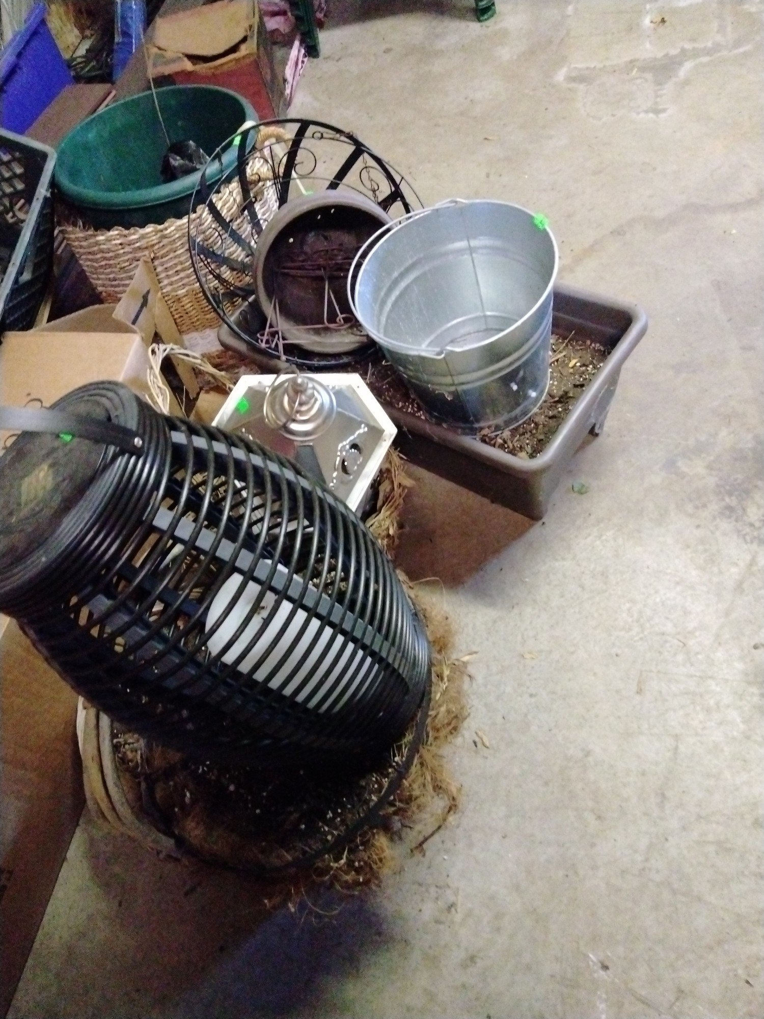 Online Bidding Only!