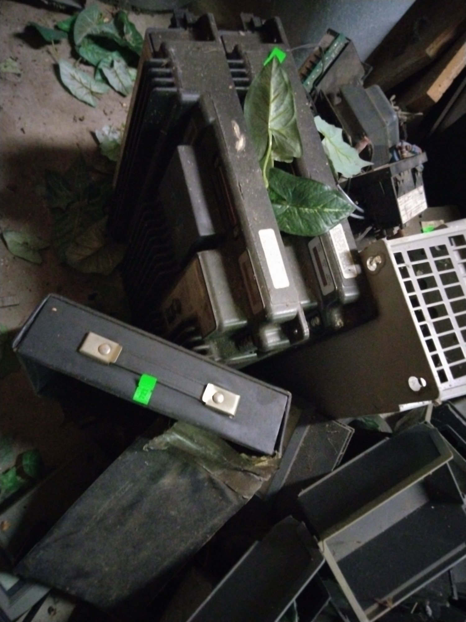 Online Bidding Only!