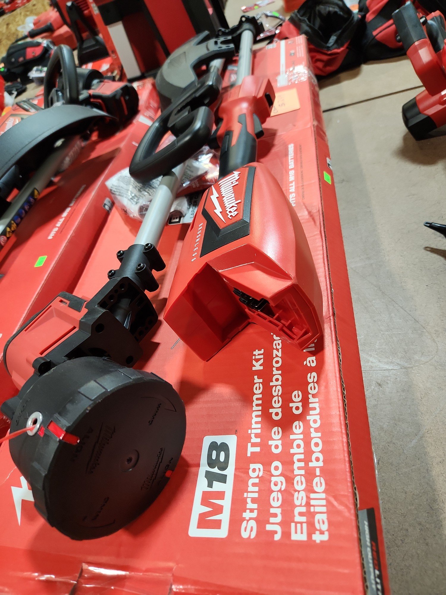 Online Bidding Available!