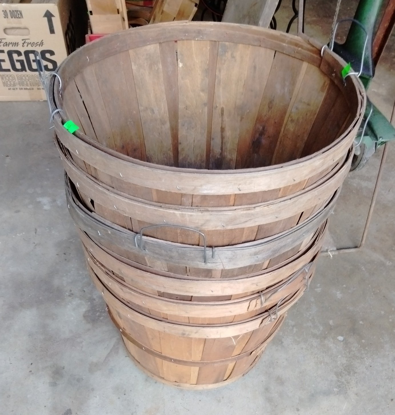 Online Bidding Available!