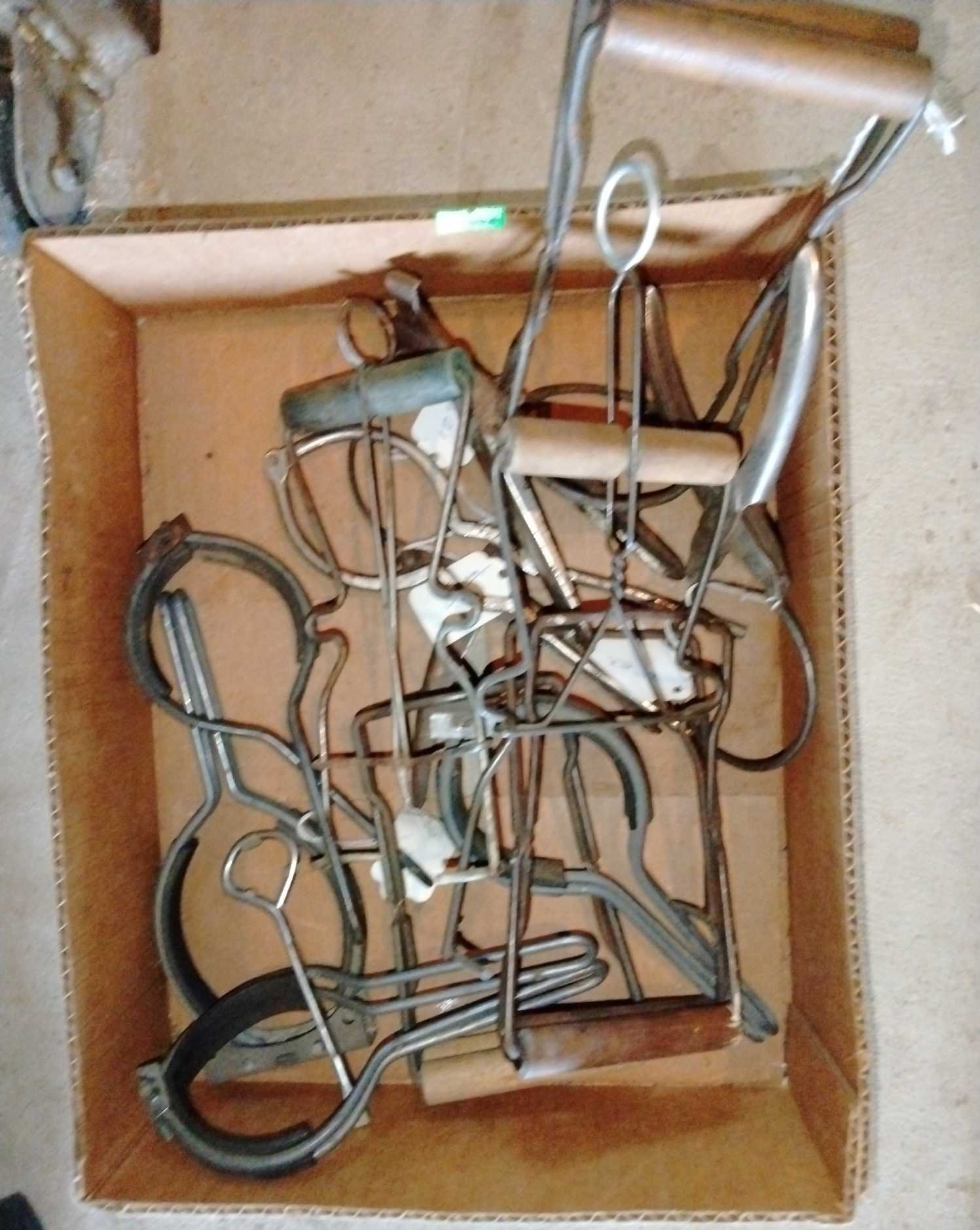 Online Bidding Available!