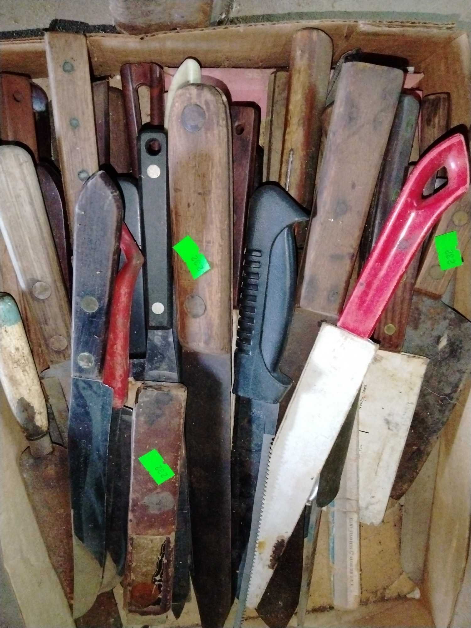 Online Bidding Available!