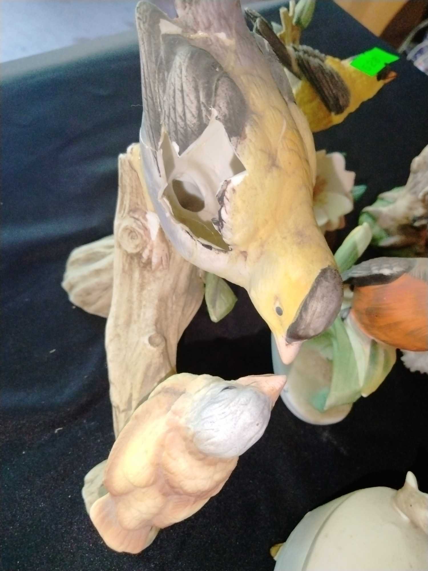 Online Bidding Available!