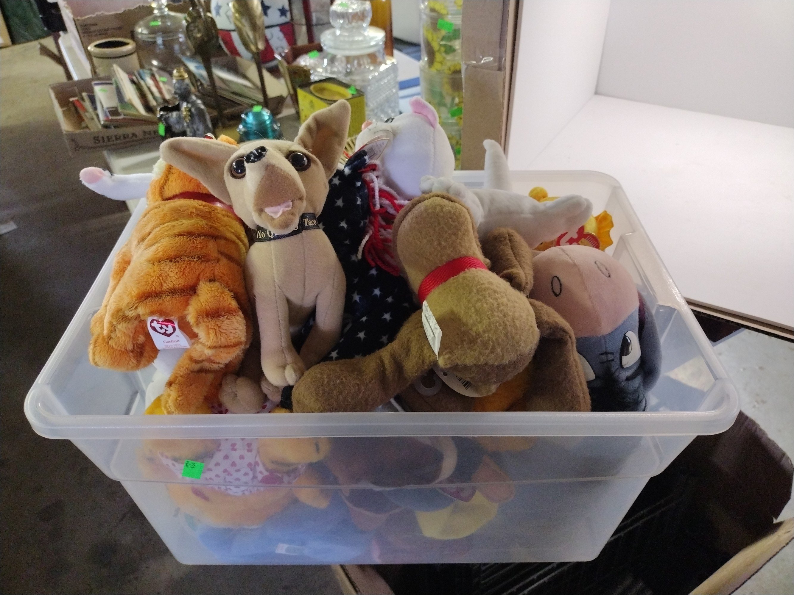 Online Bidding Available!