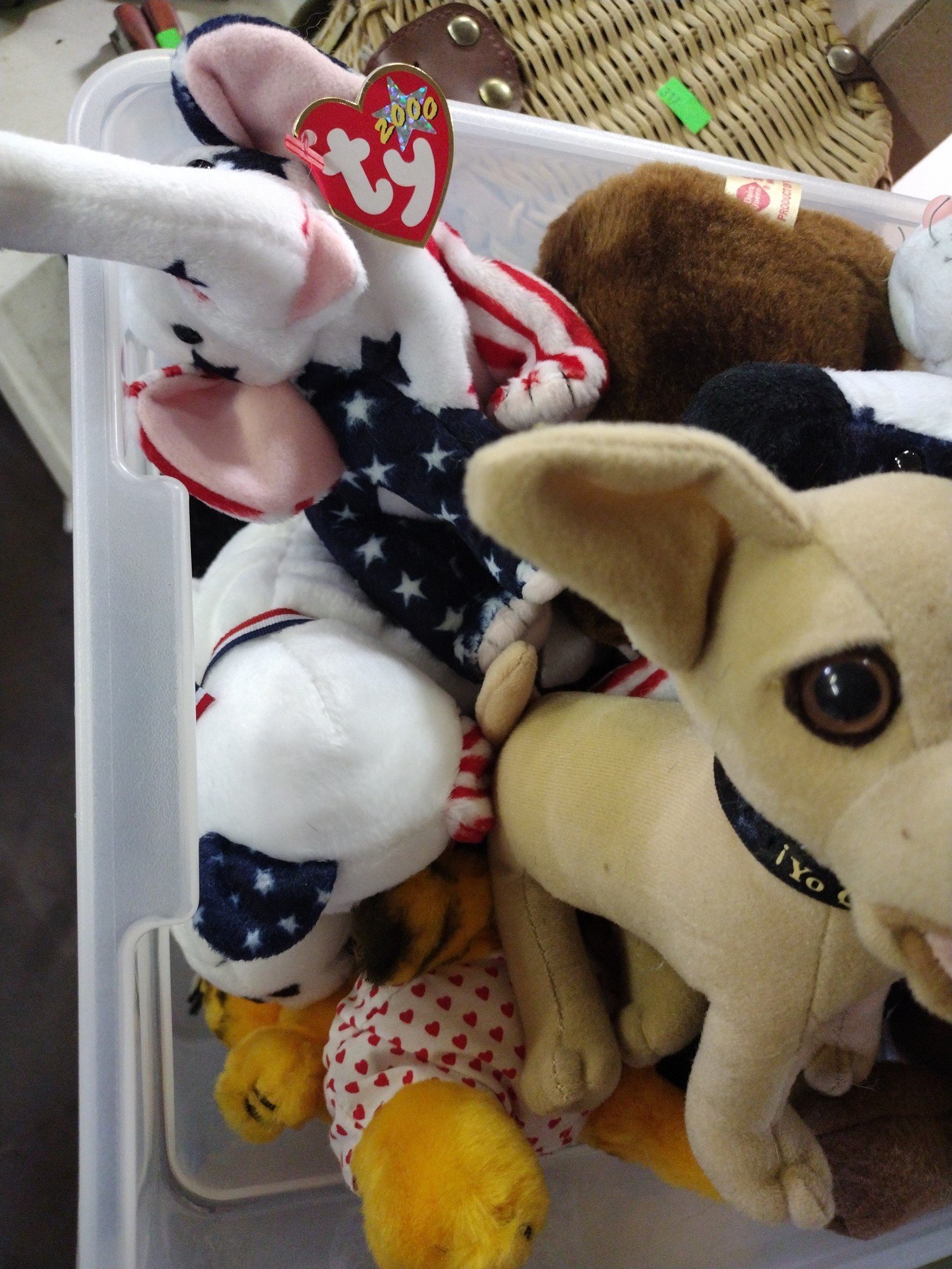 Online Bidding Available!