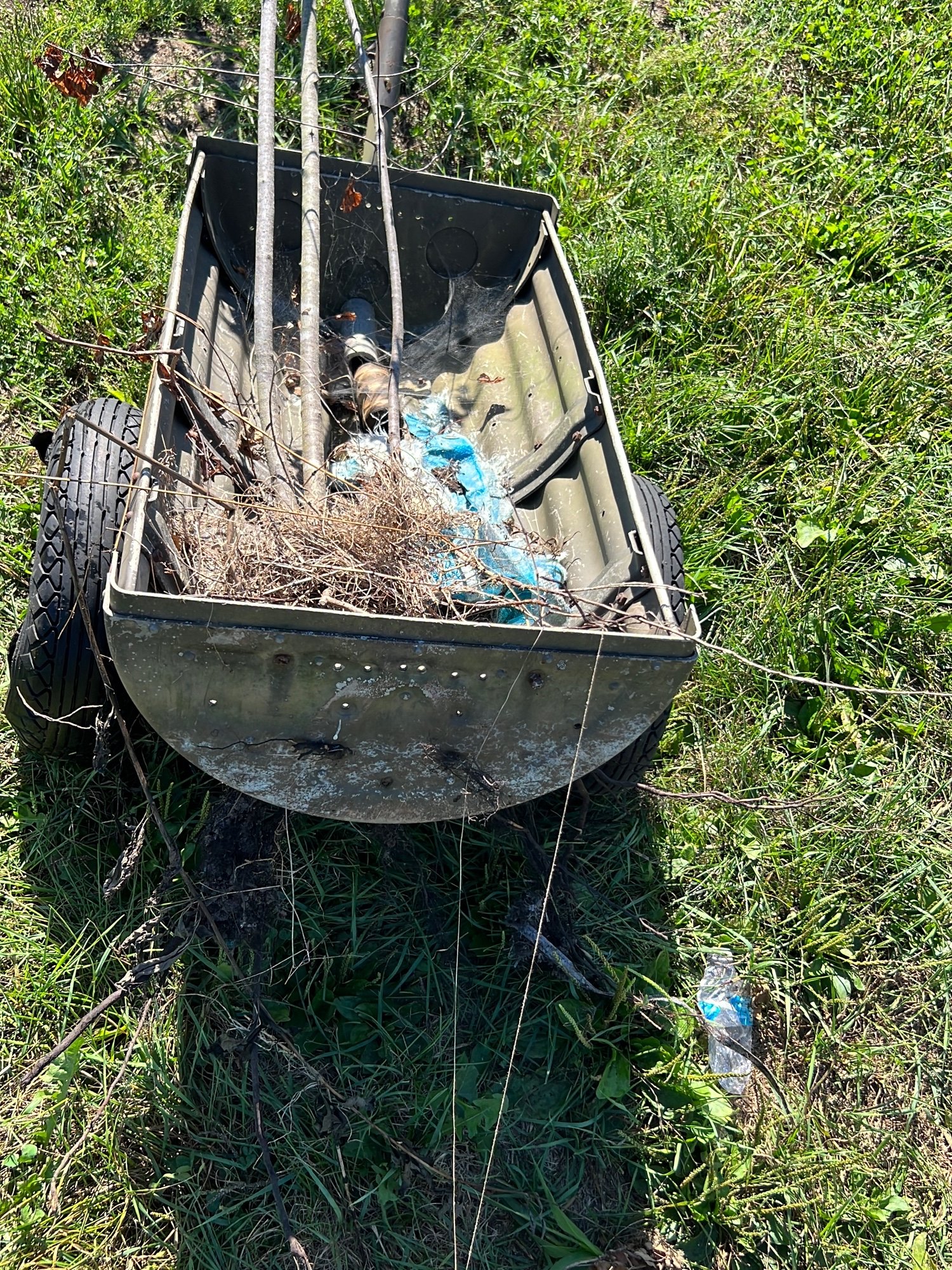 Online Bidding Available!