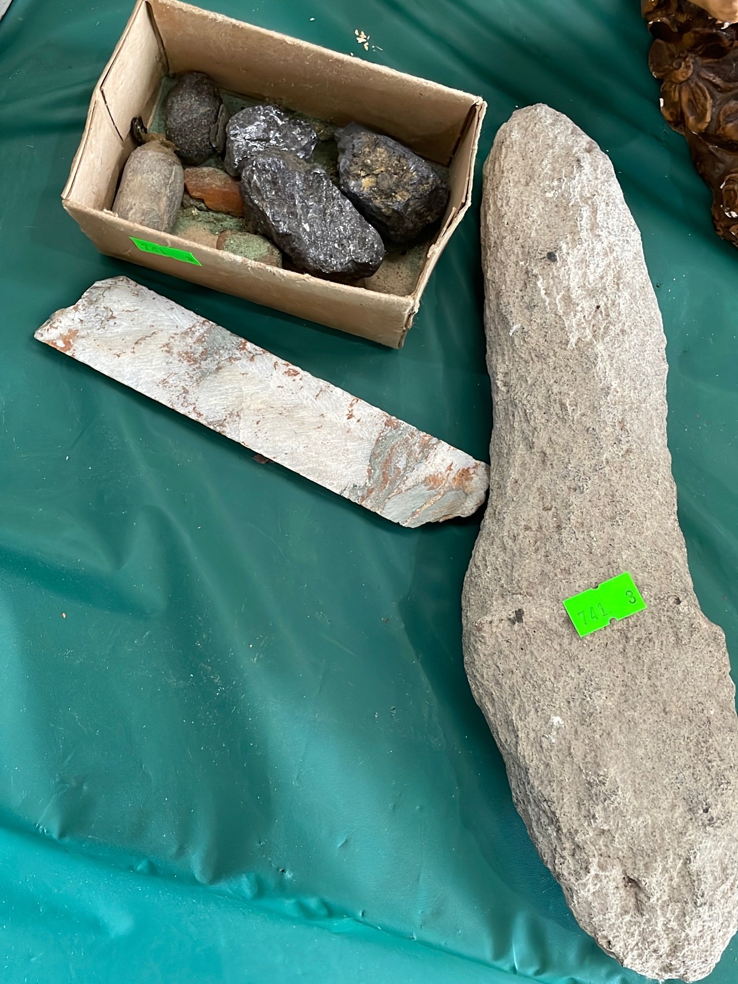 Online Bidding Available!