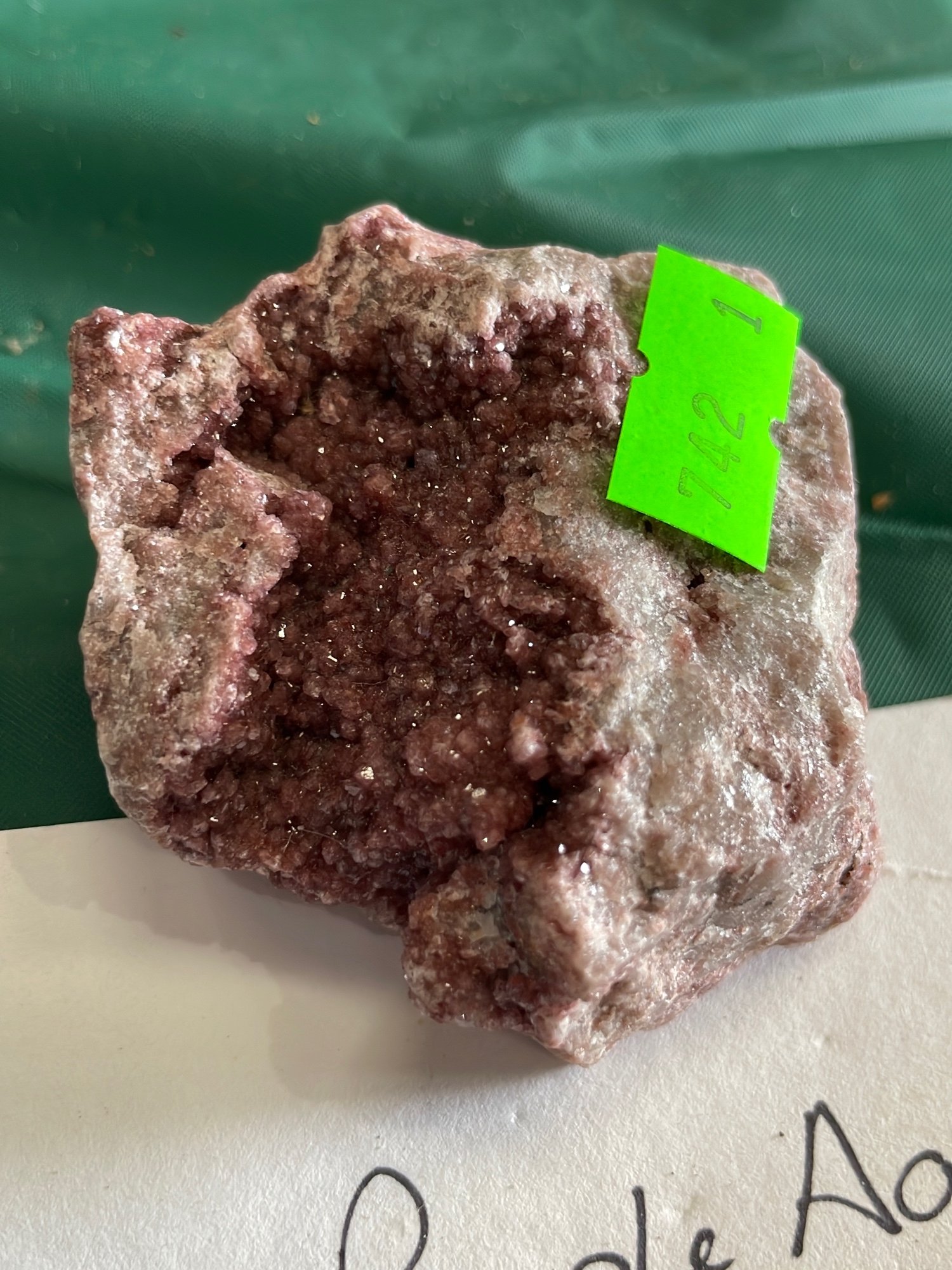 Online Bidding Available!