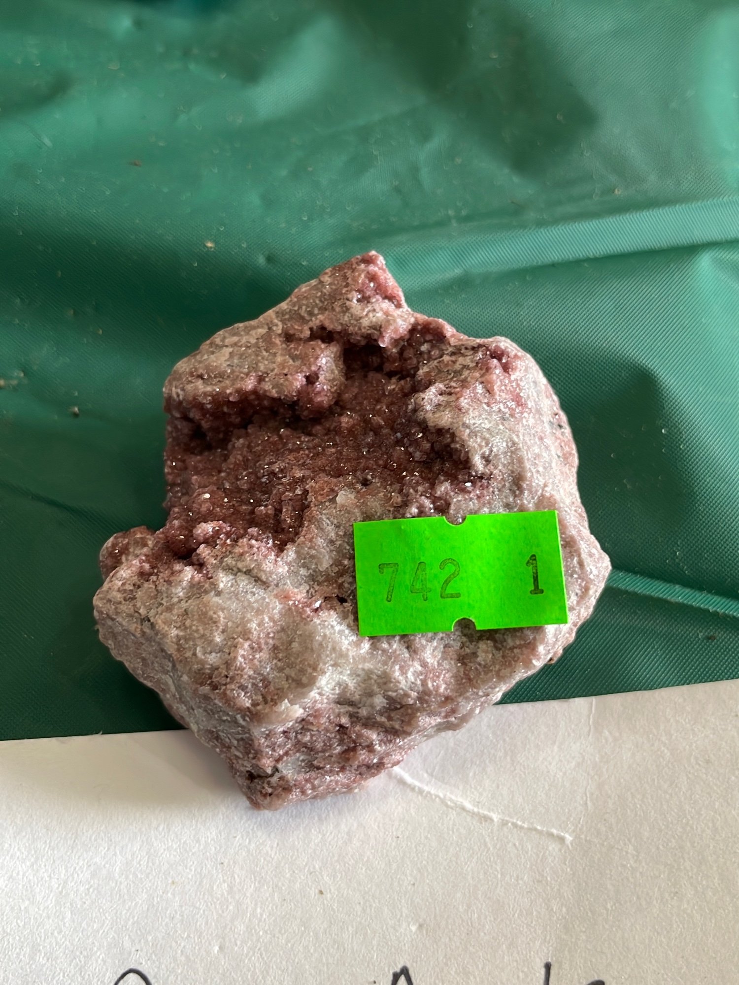 Online Bidding Available!