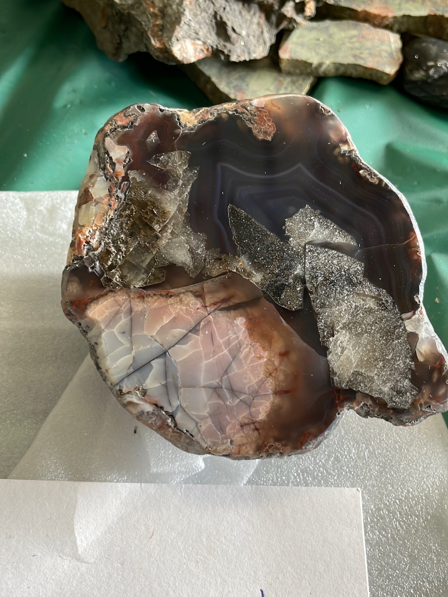 Online Bidding Available!