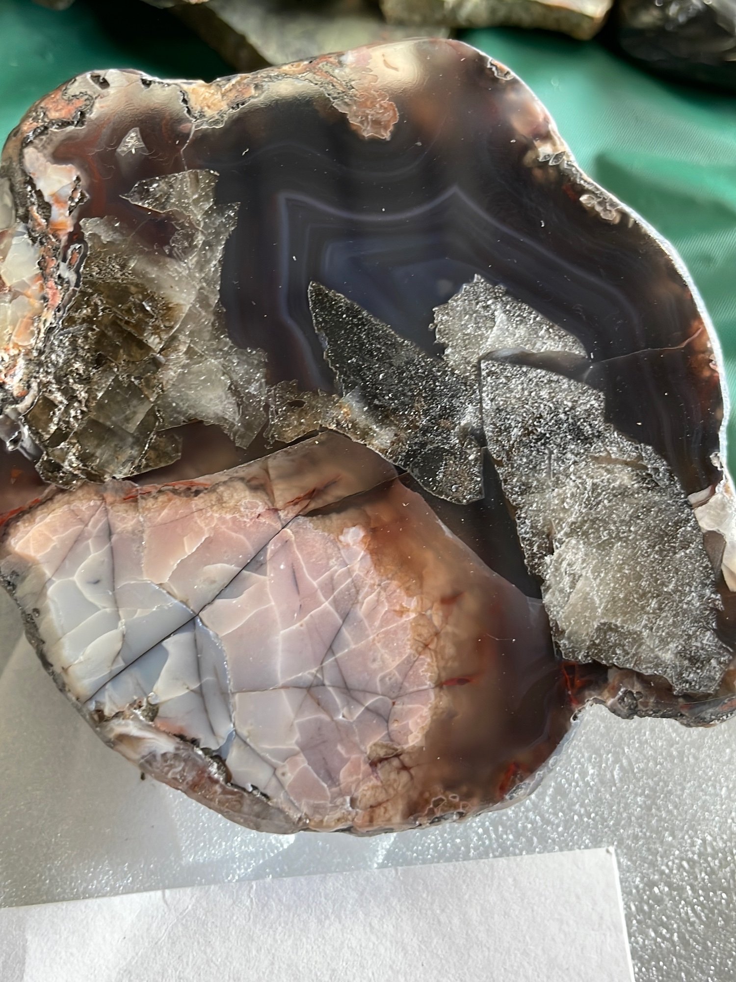 Online Bidding Available!