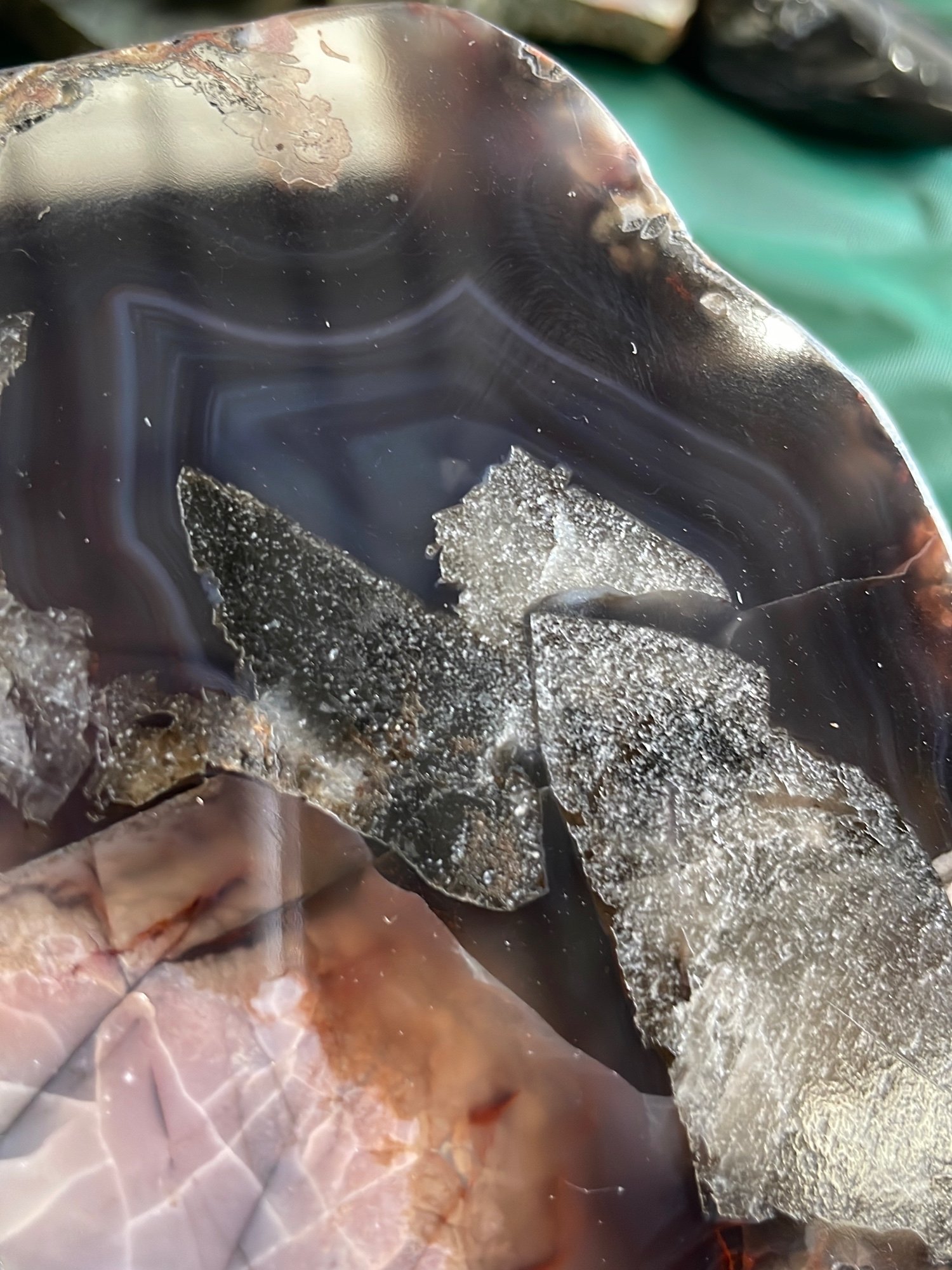 Online Bidding Available!