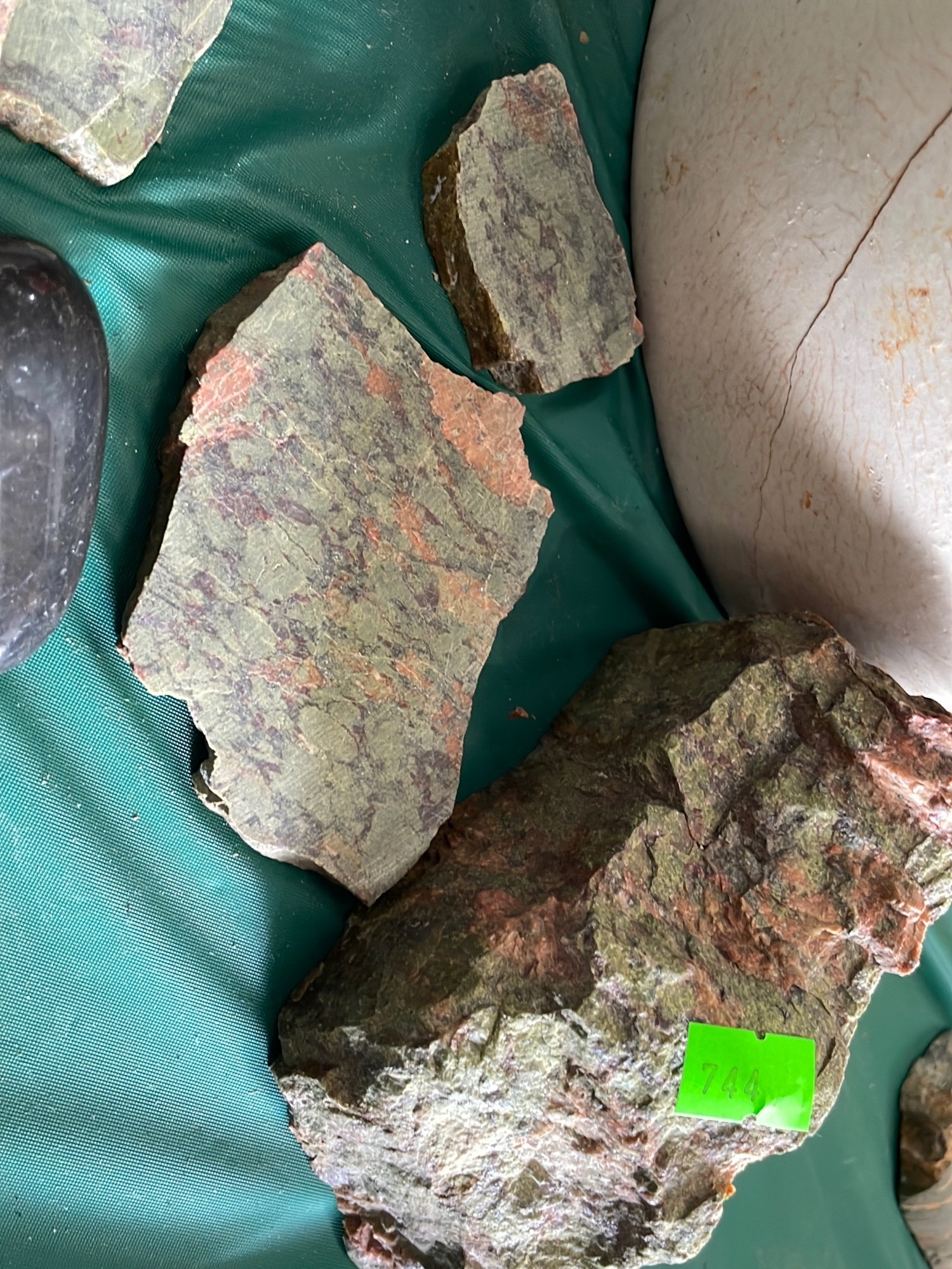 Online Bidding Available!