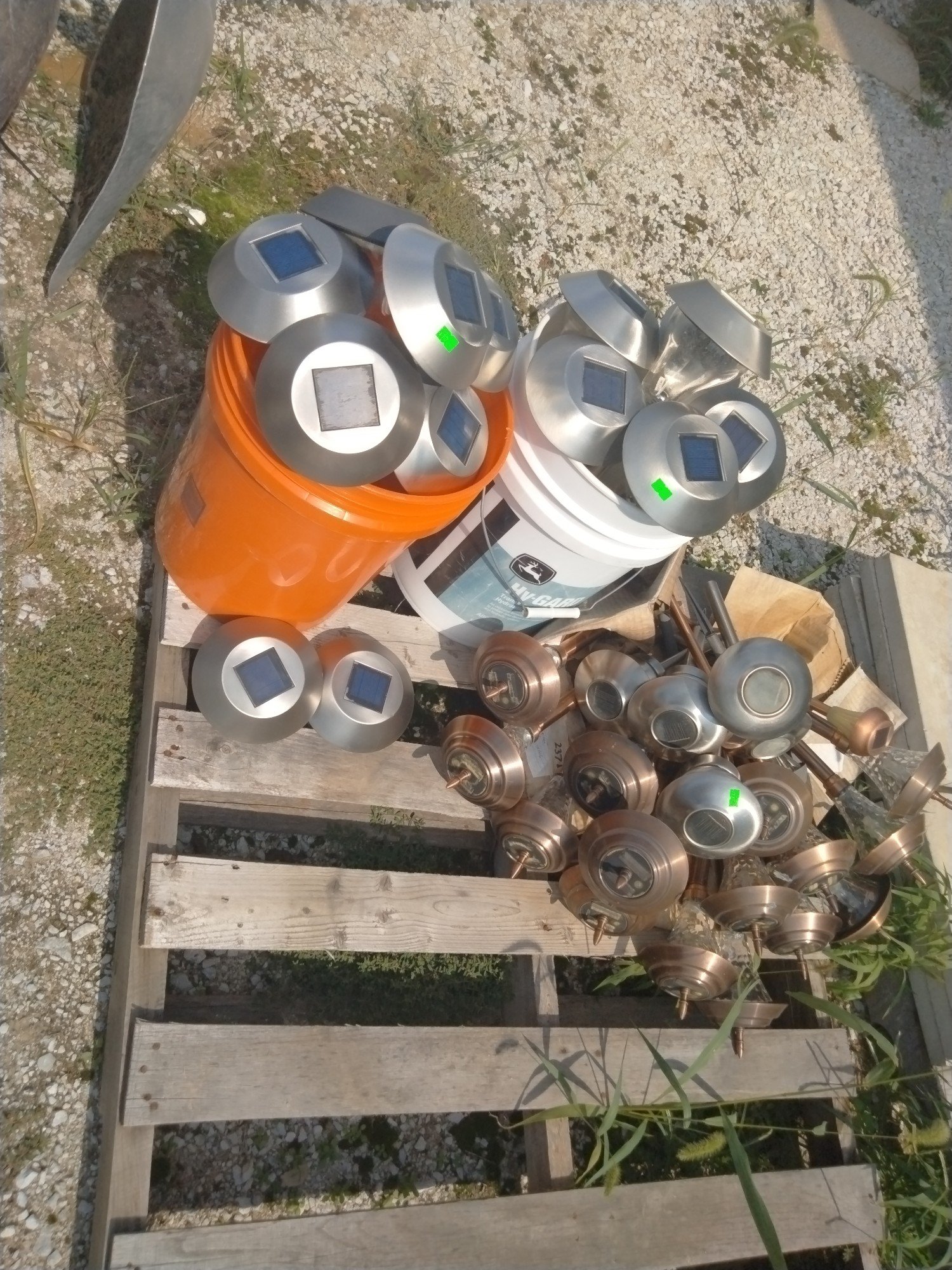 Online Bidding Available!