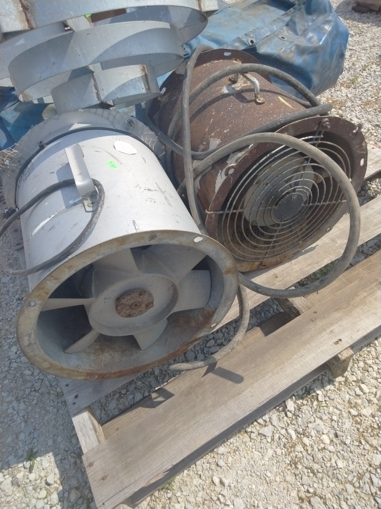 Online Bidding Available!