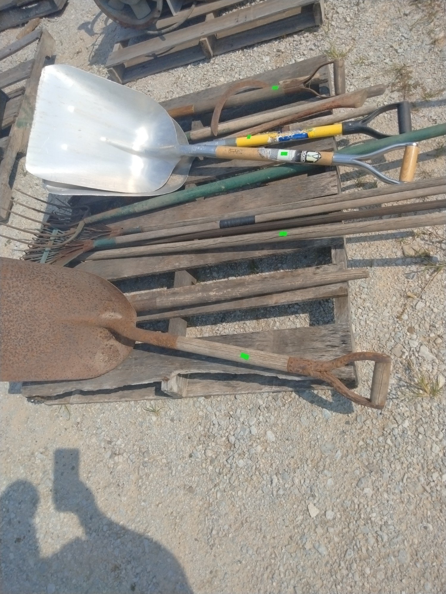 Online Bidding Available!