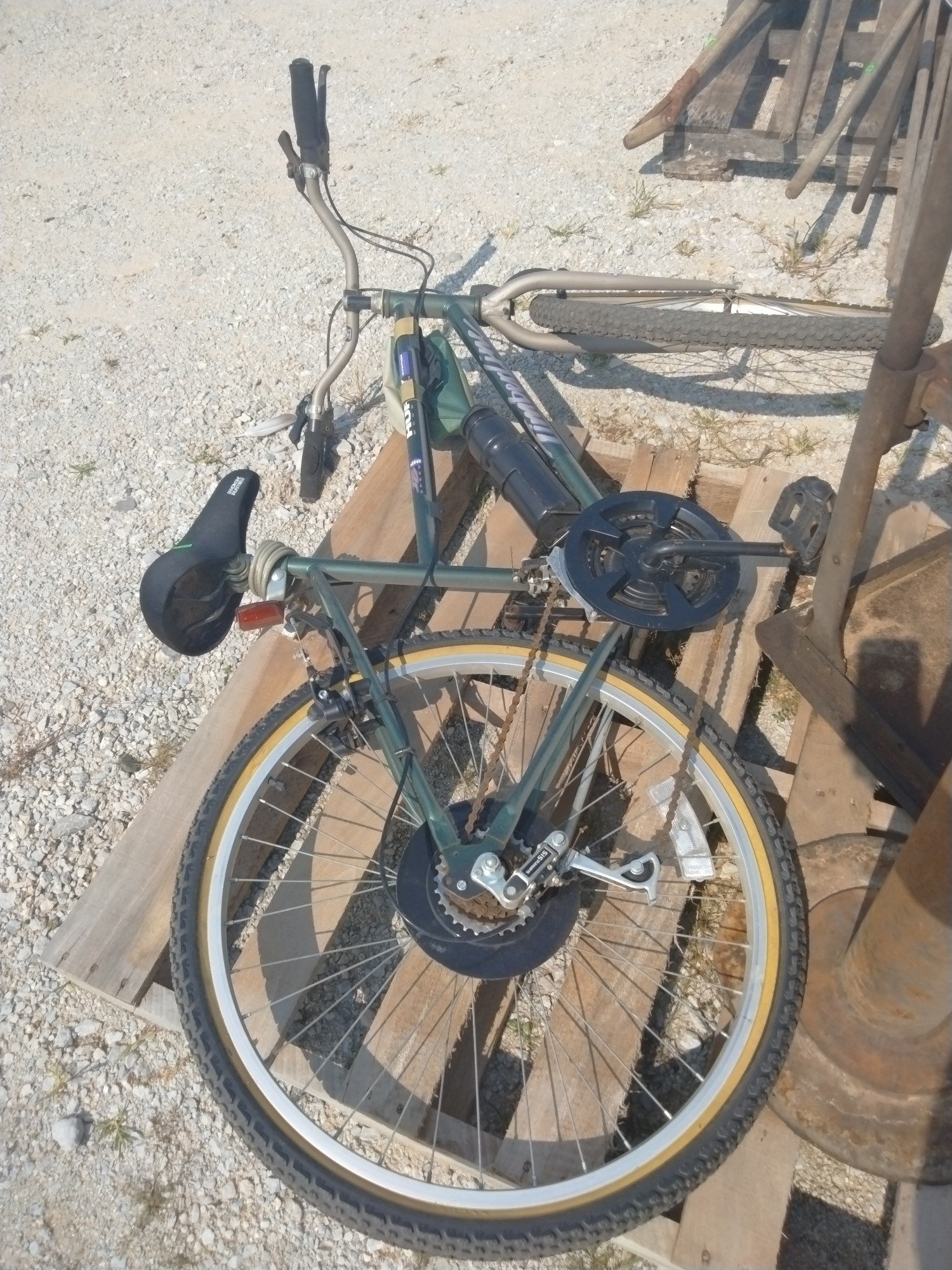 Online Bidding Available!