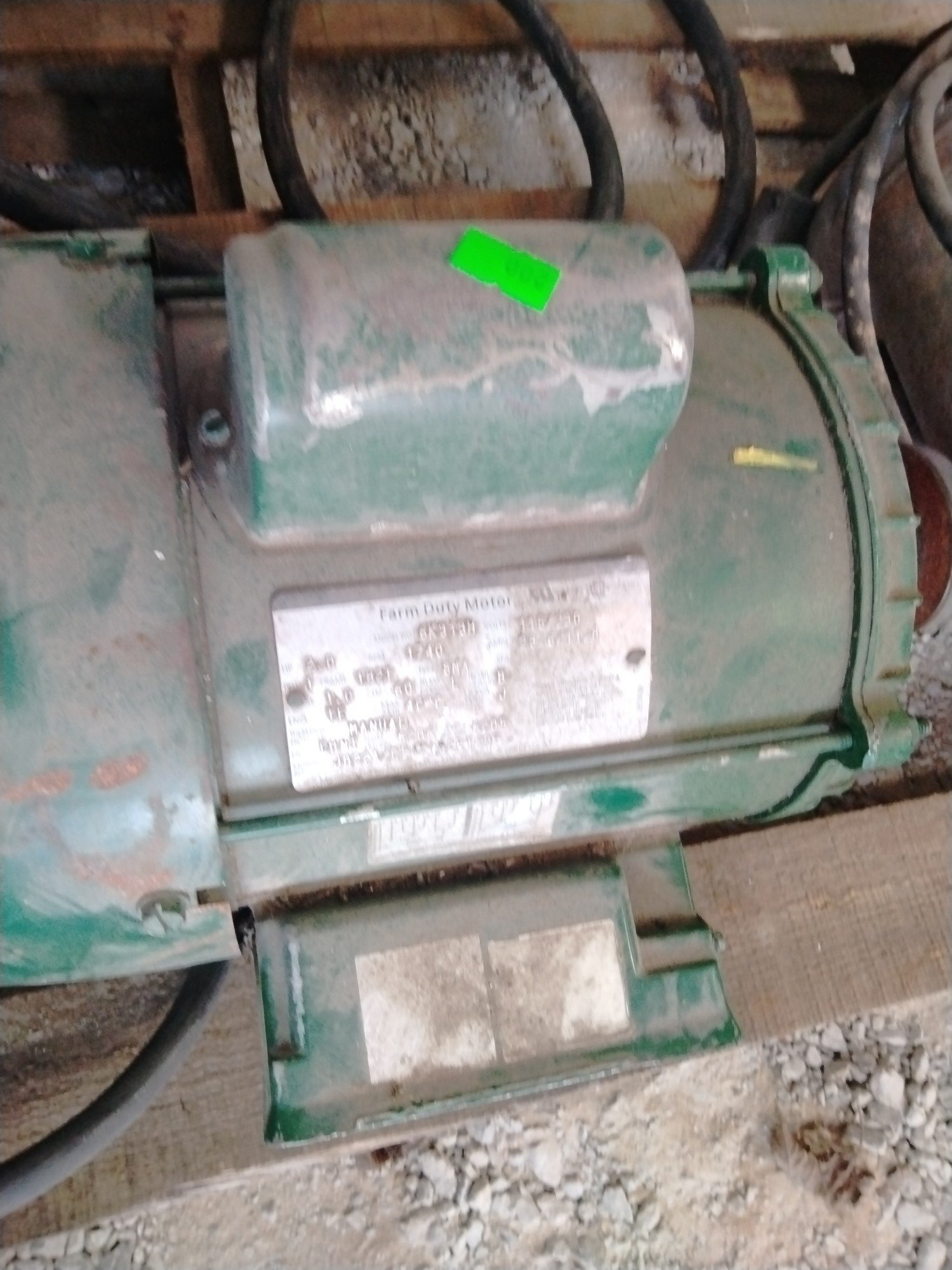 Online Bidding Available!