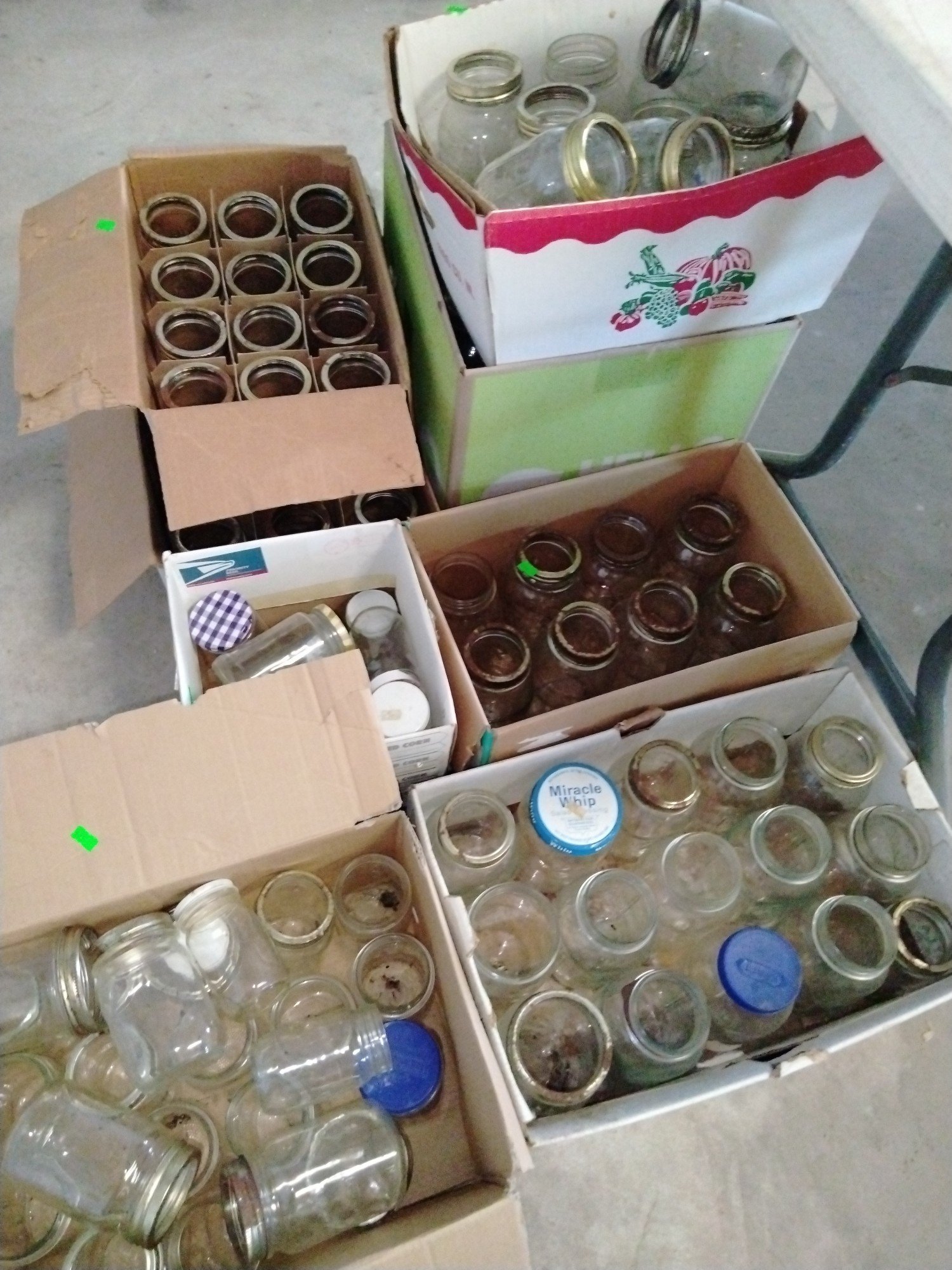 Online Bidding Available!