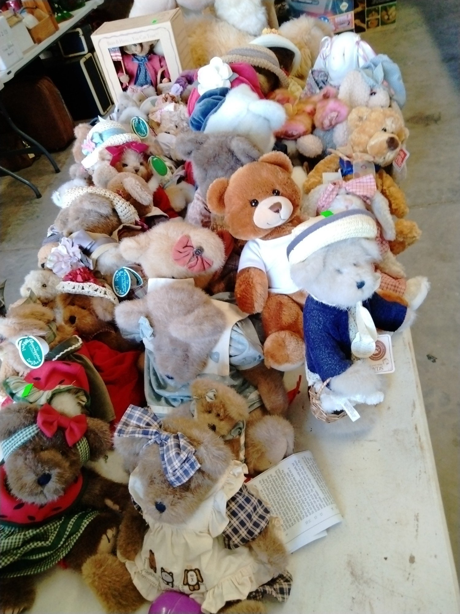 Online Bidding Available!