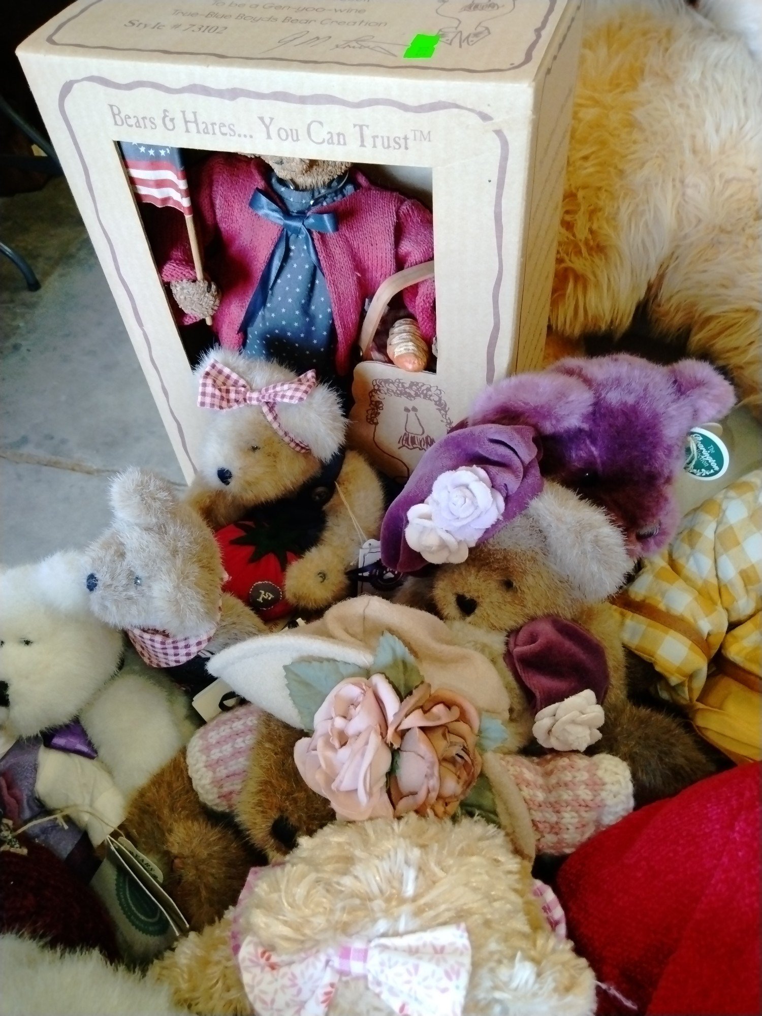 Online Bidding Available!