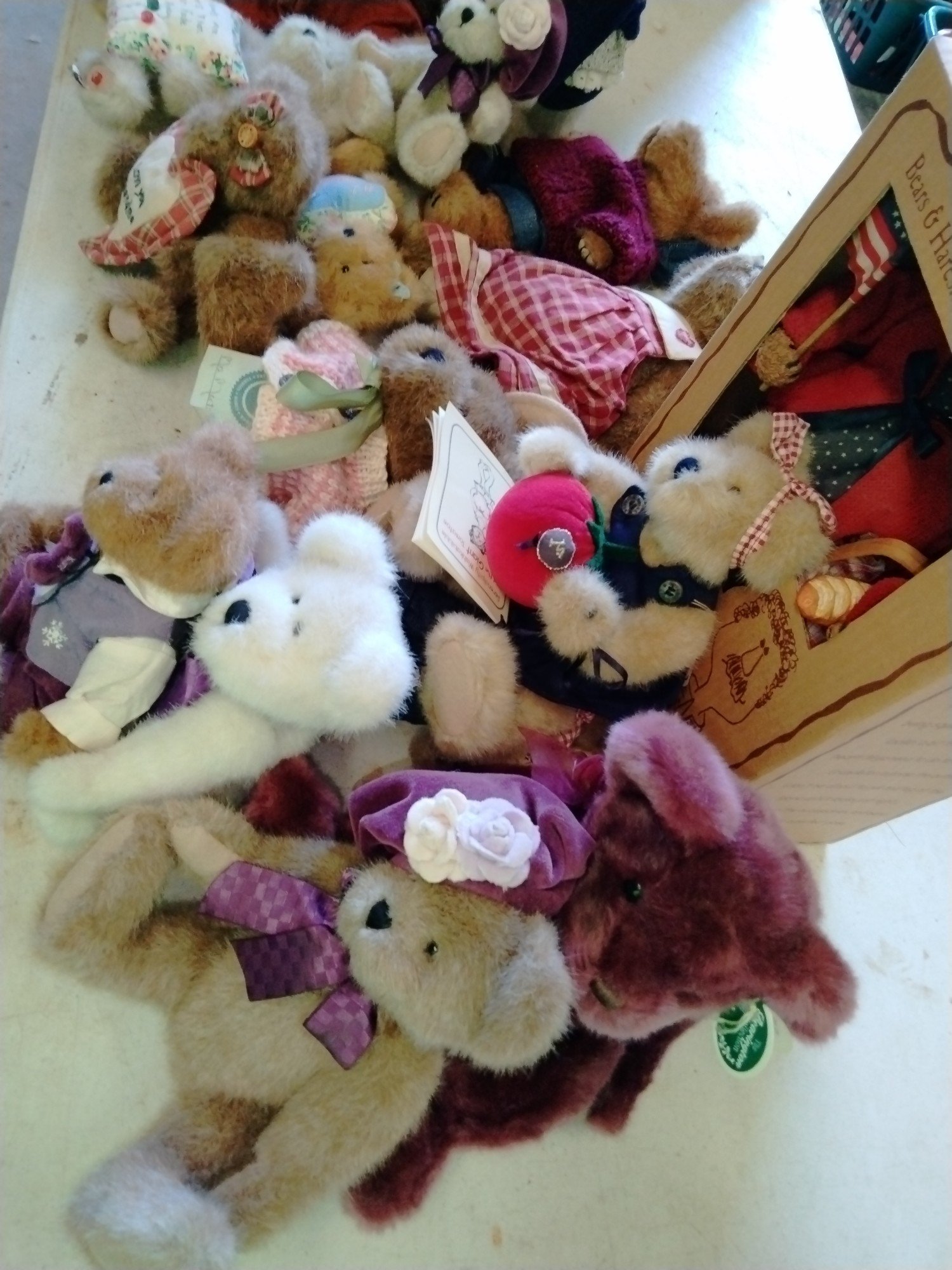 Online Bidding Available!