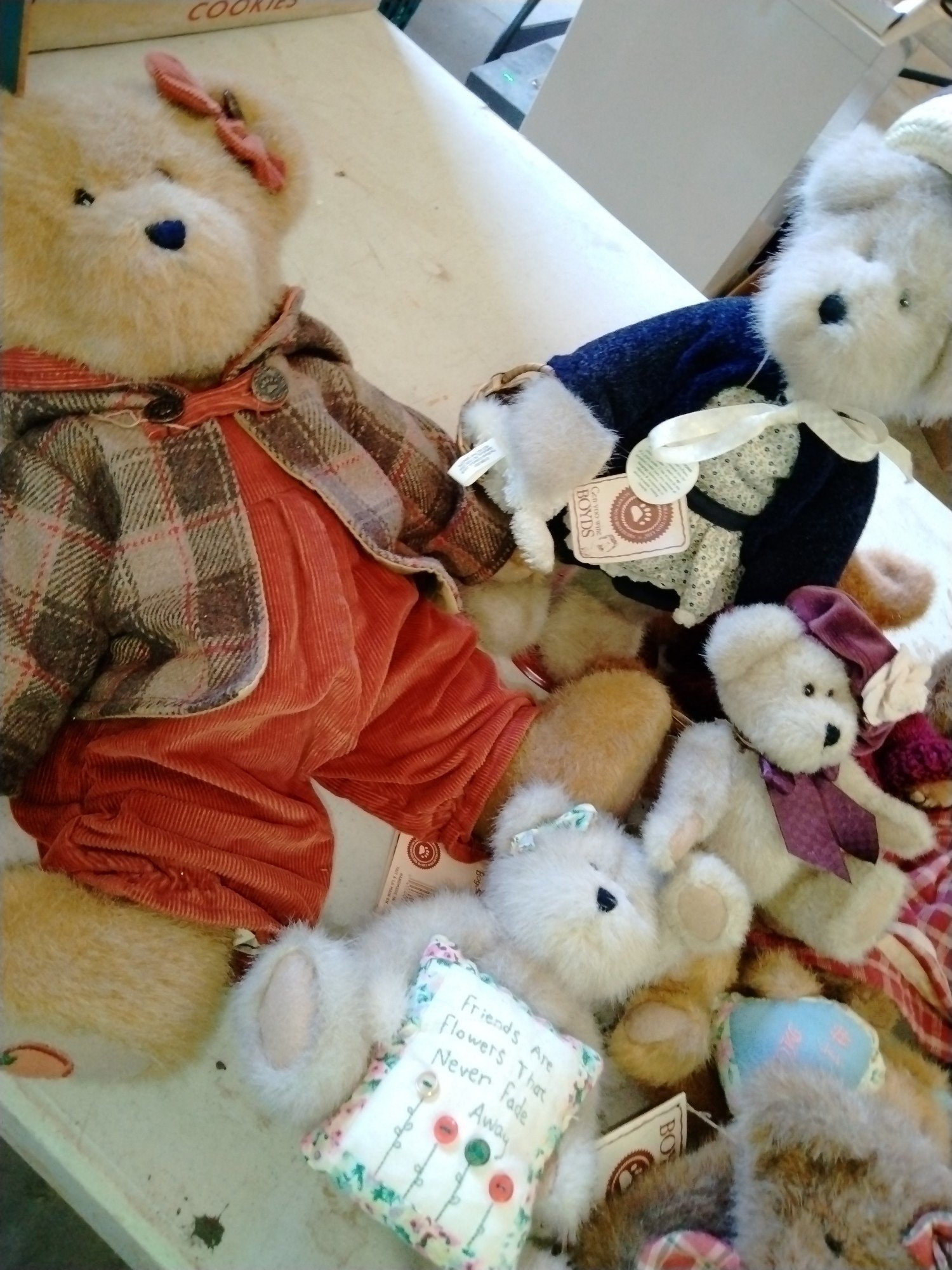 Online Bidding Available!