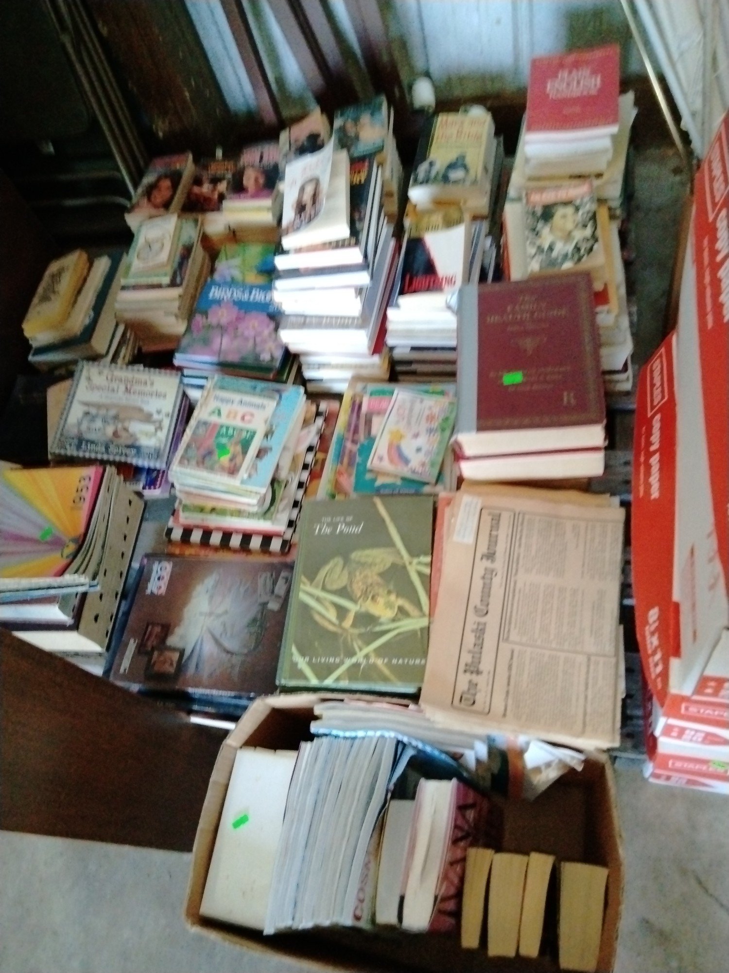 Online Bidding Available!