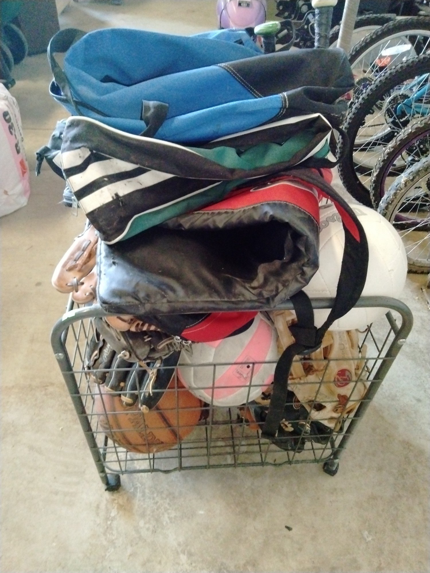 Online Bidding Available!