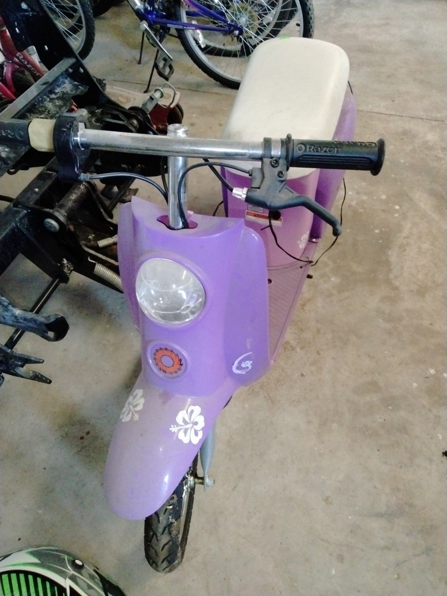 Online Bidding Available!