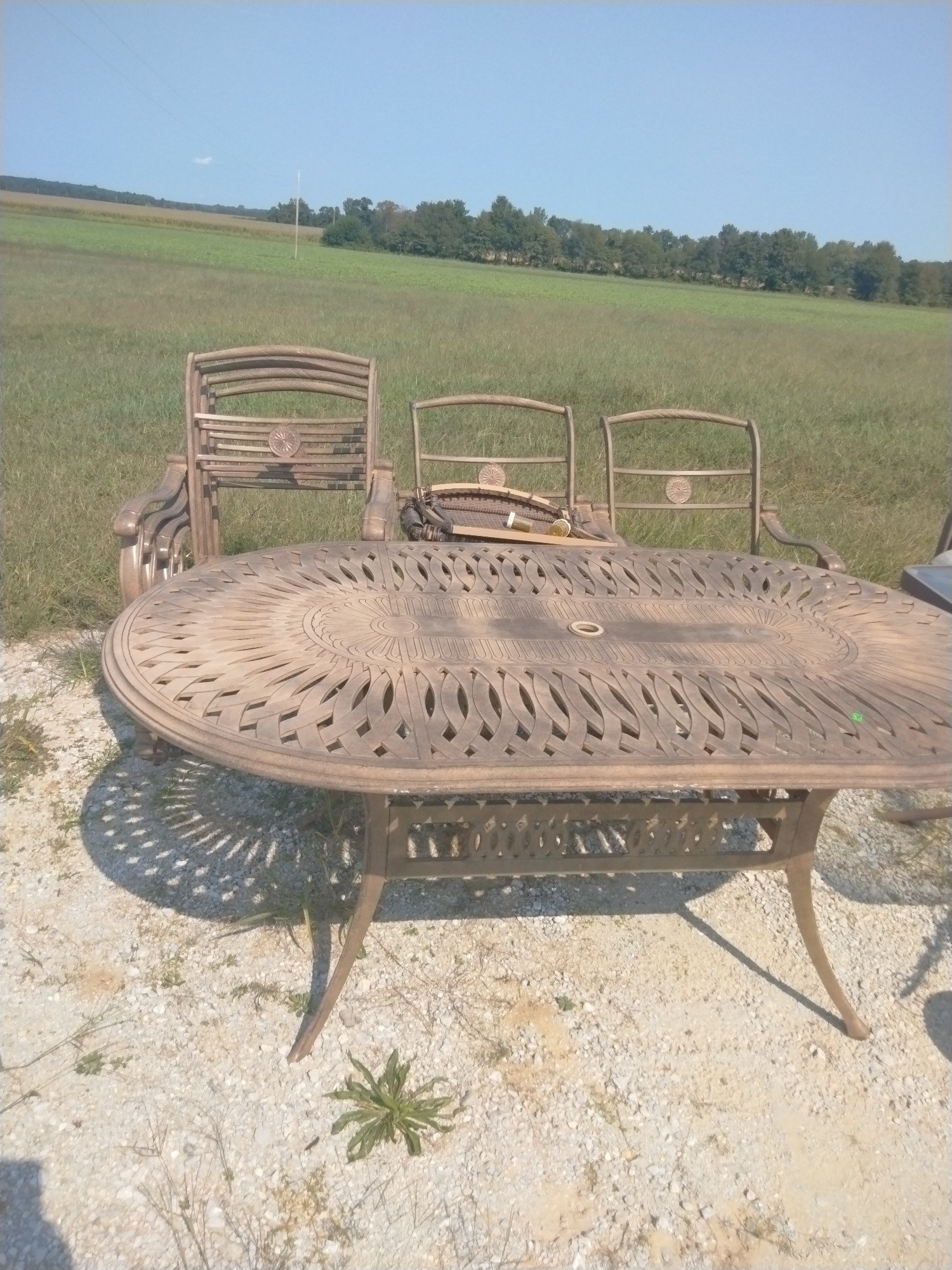 Online Bidding Available!