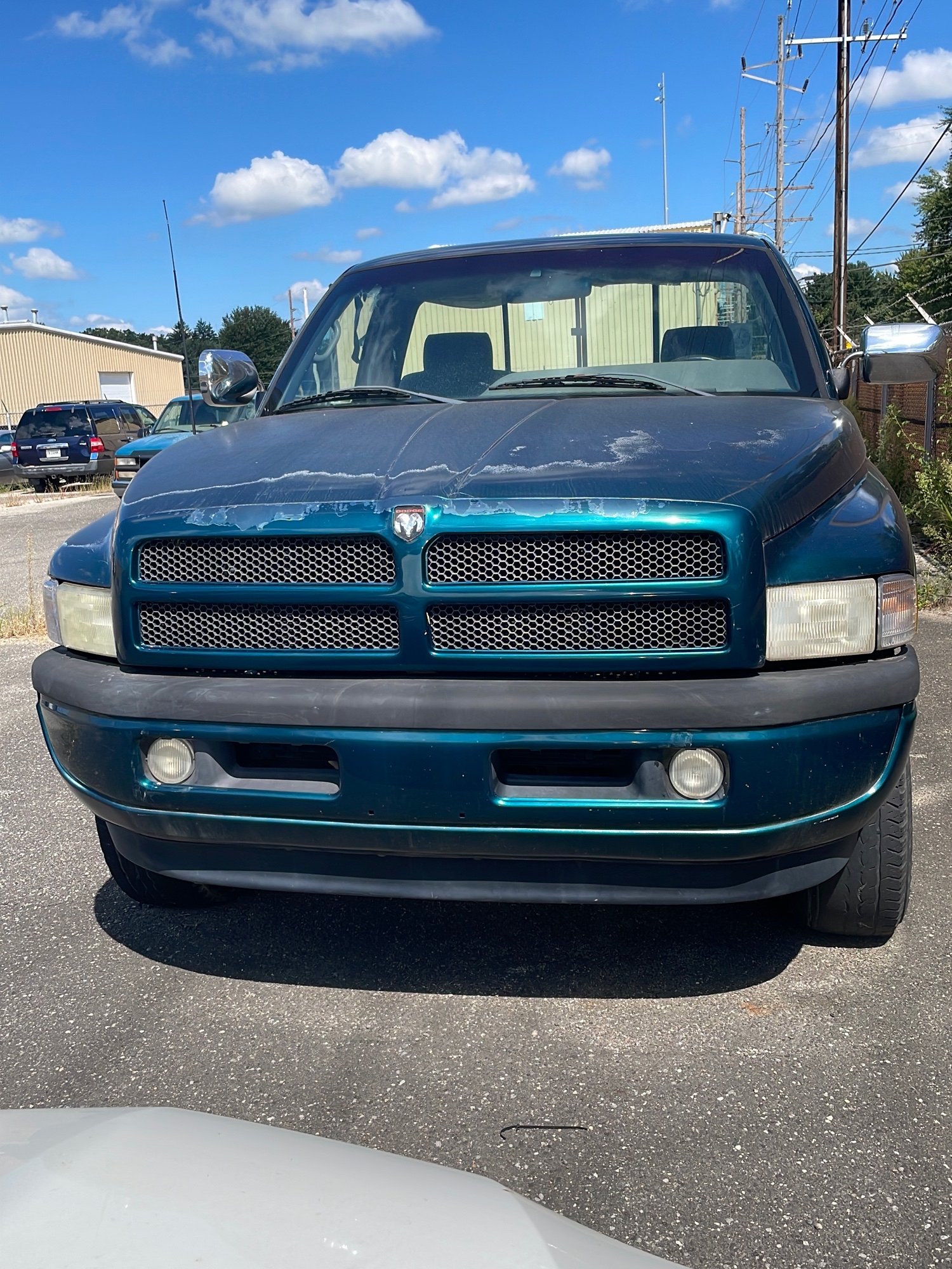 Online Bidding Available!