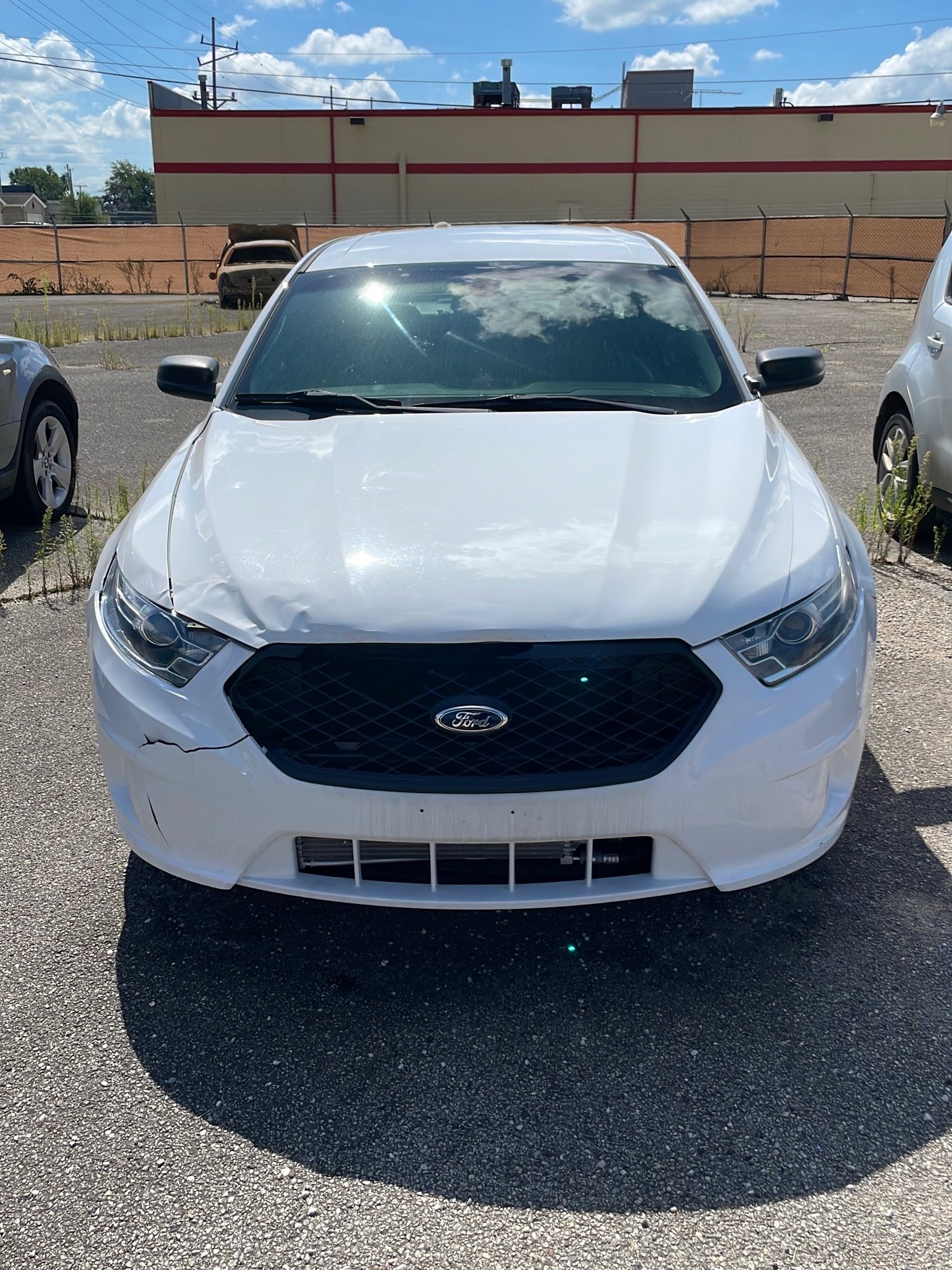 Online Bidding Available!