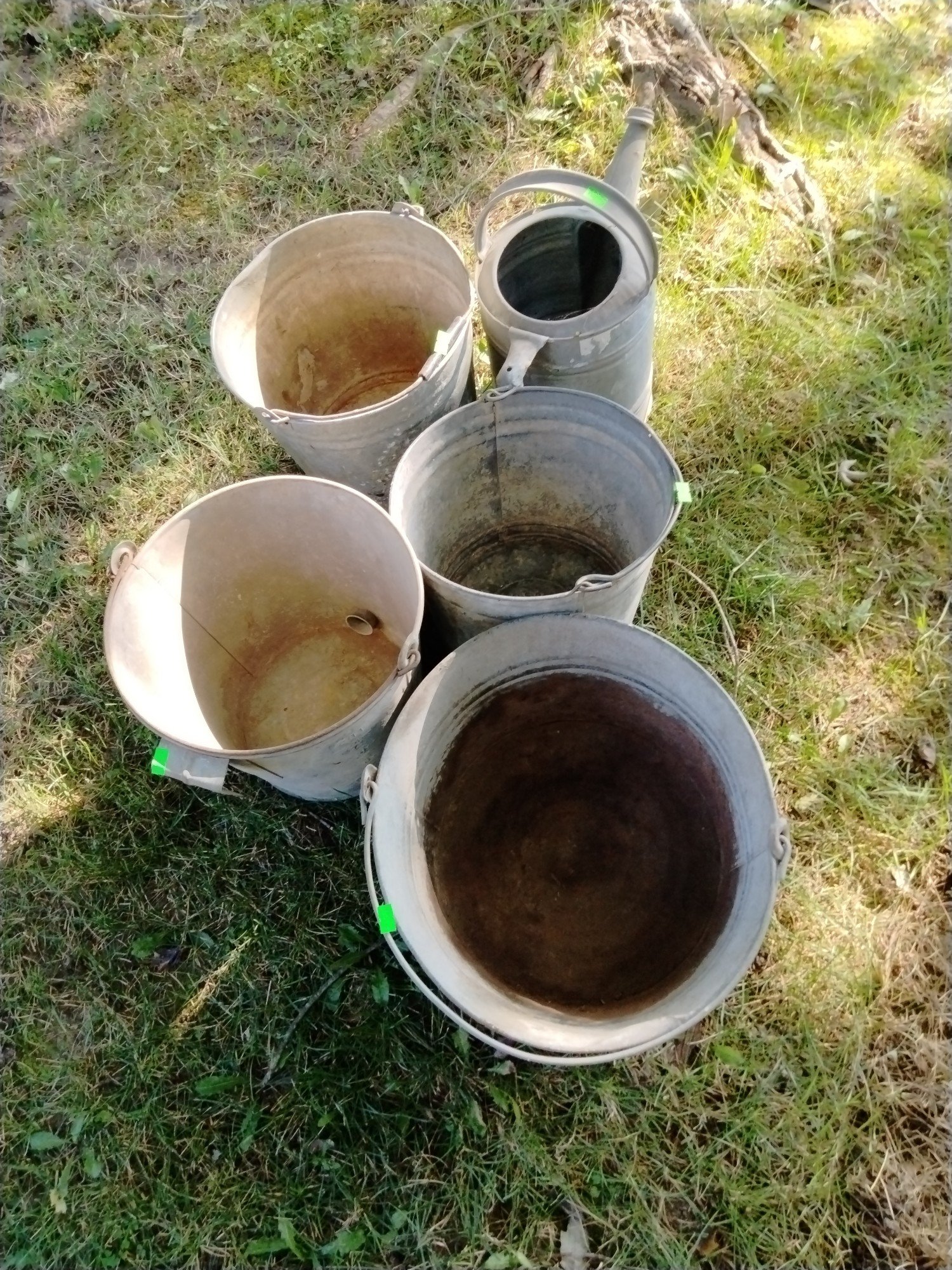 Online Bidding Available!