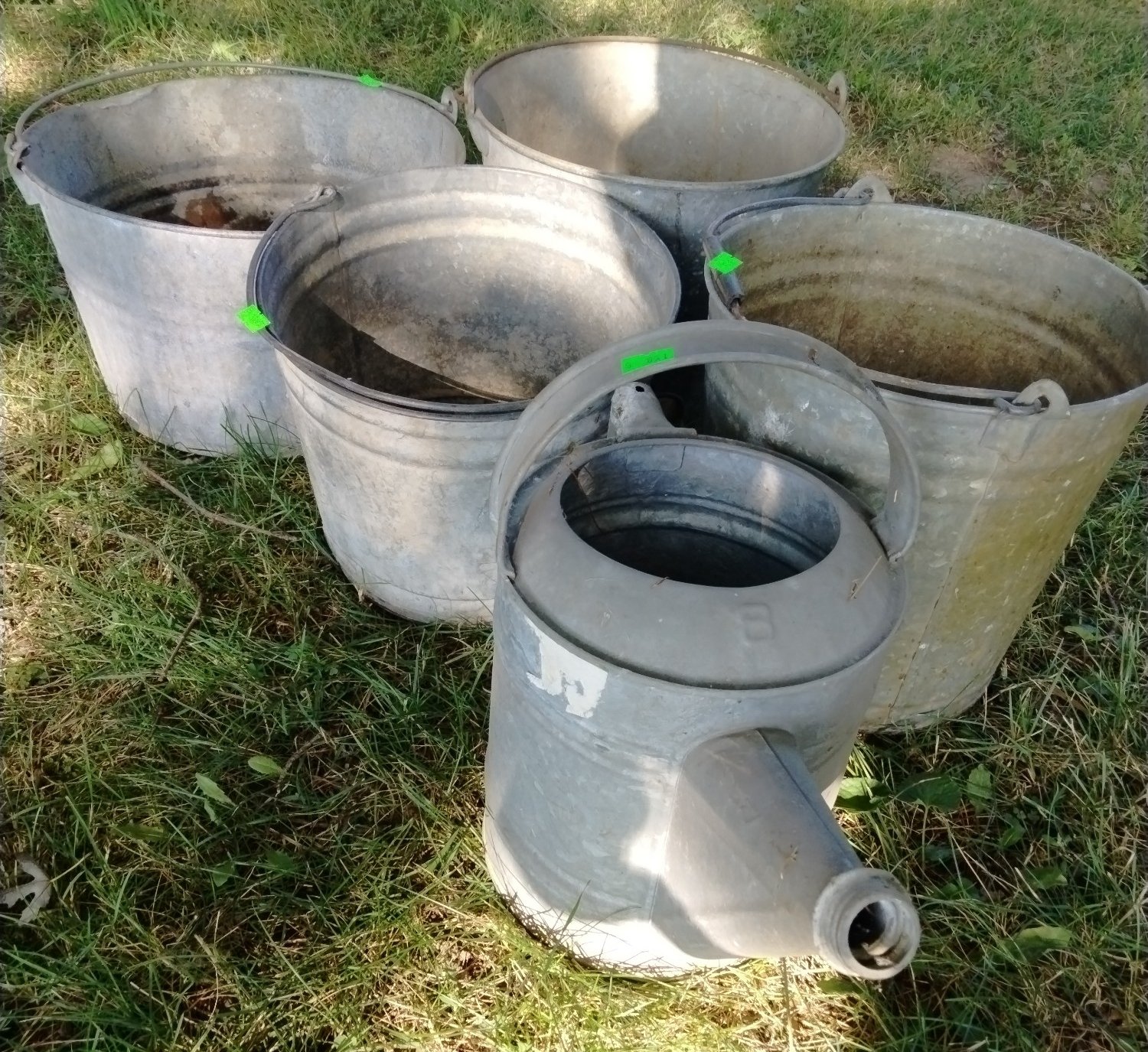 Online Bidding Available!