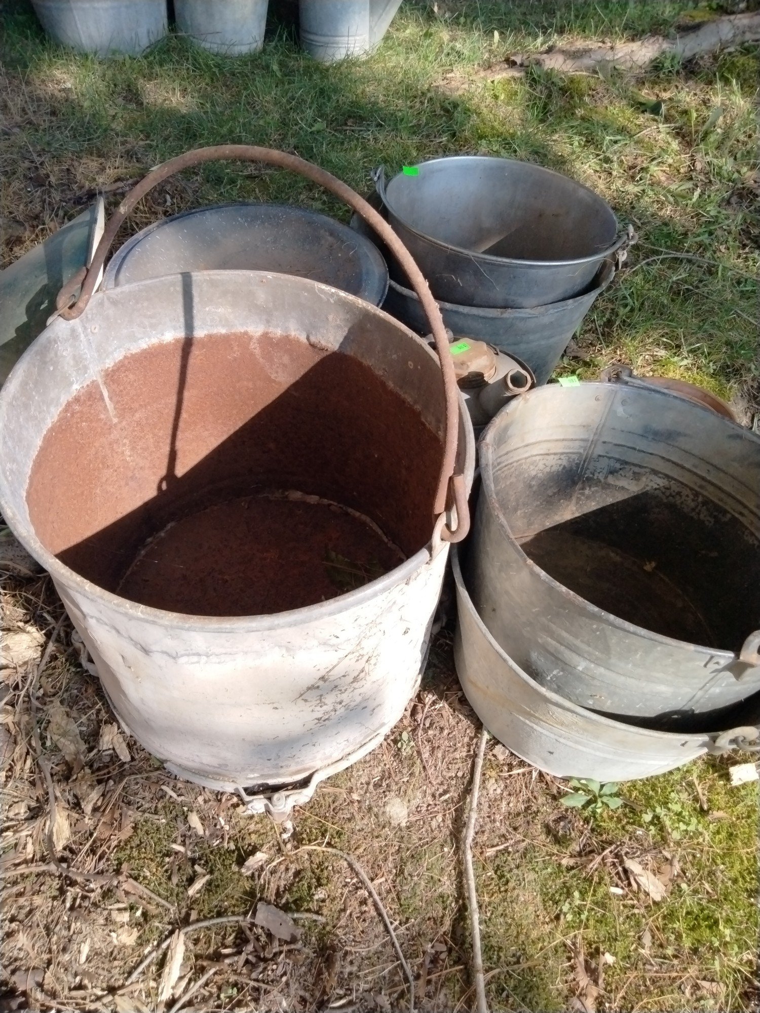 Online Bidding Available!