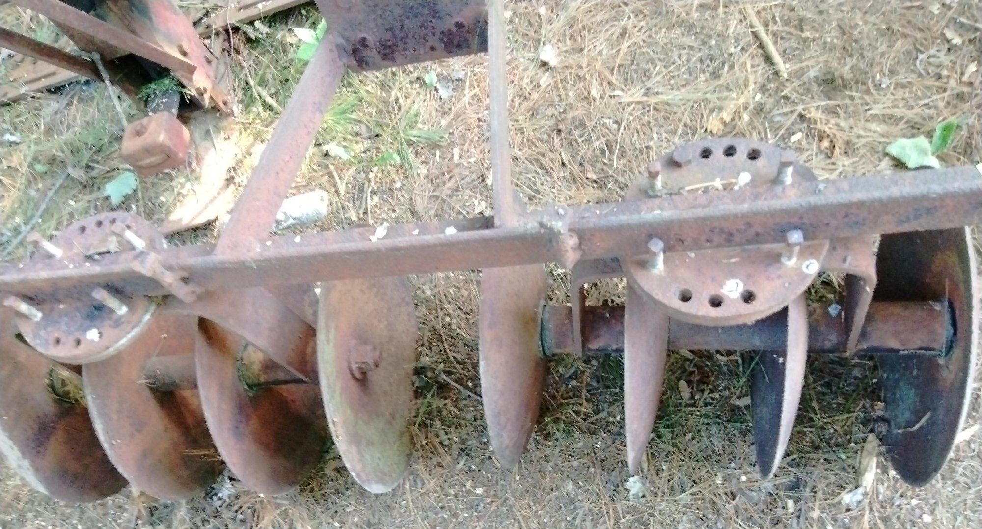 Online Bidding Available!