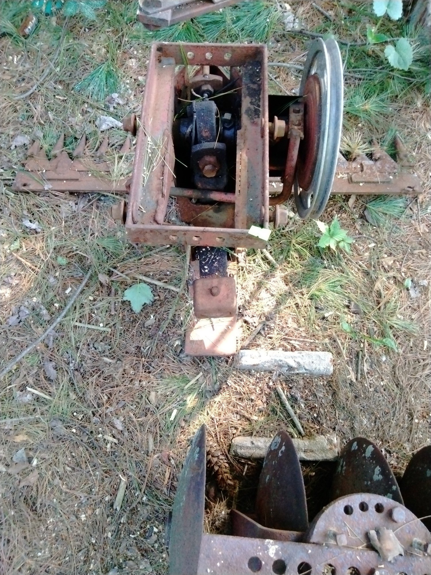 Online Bidding Available!