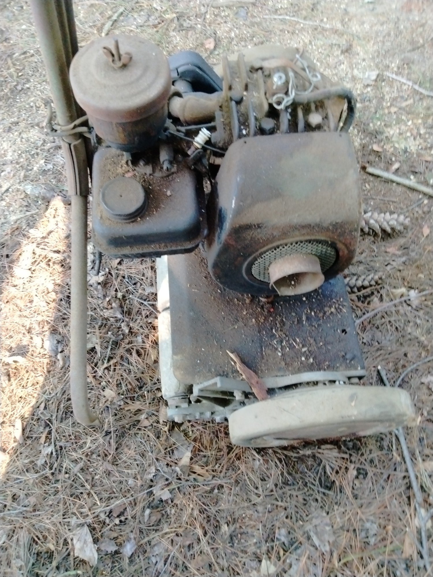 Online Bidding Available!