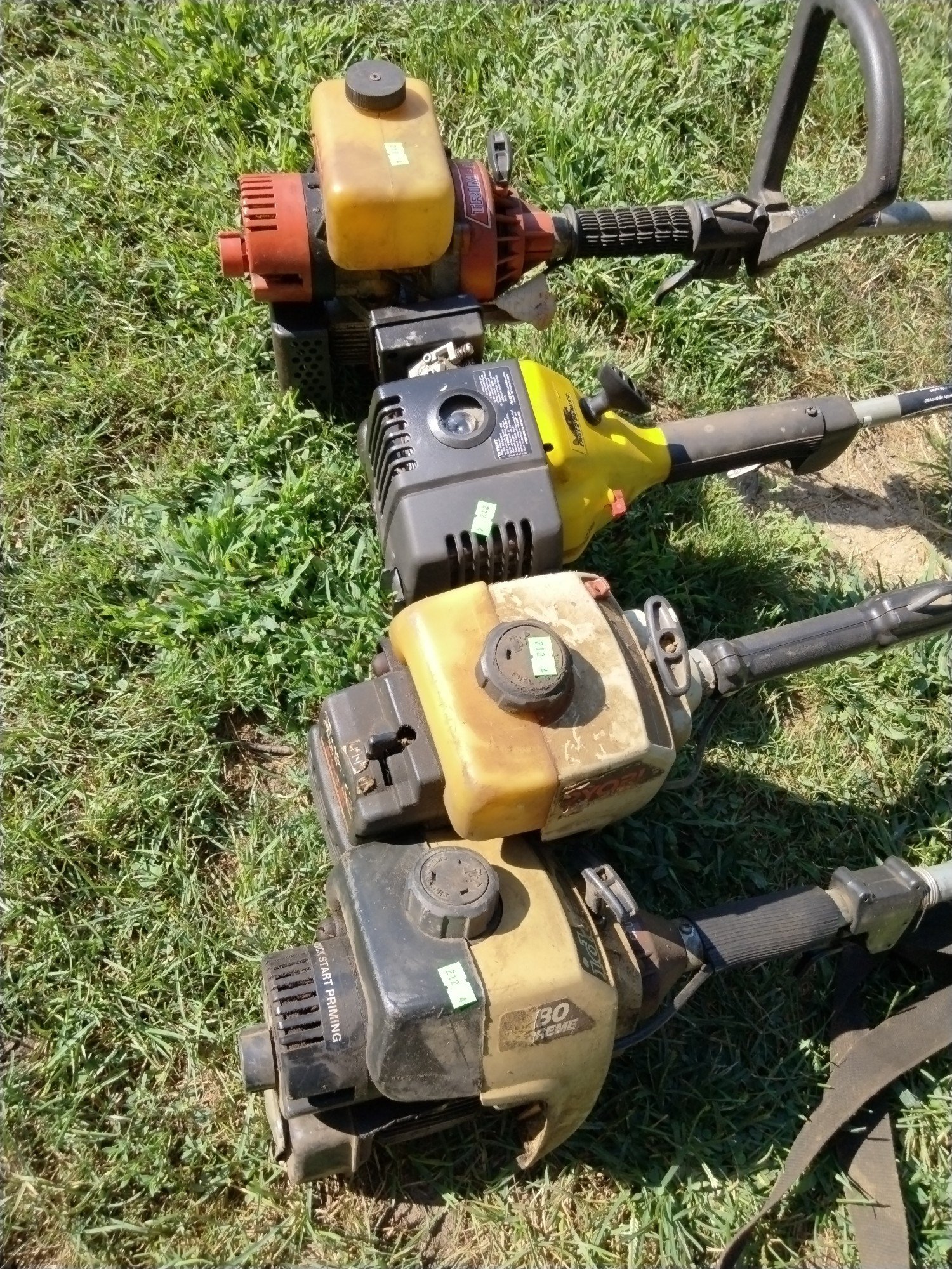 Online Bidding Available!