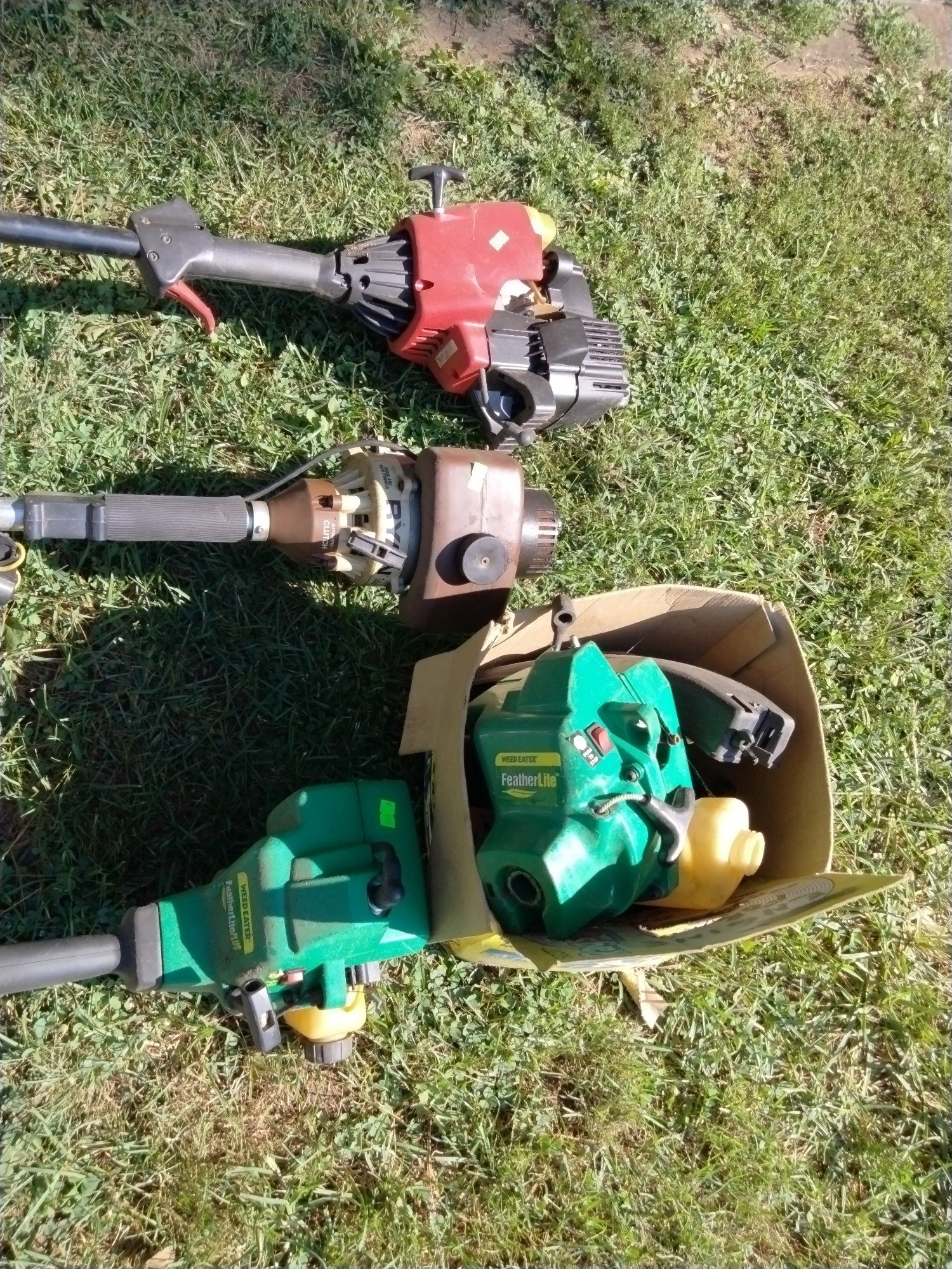 Online Bidding Available!